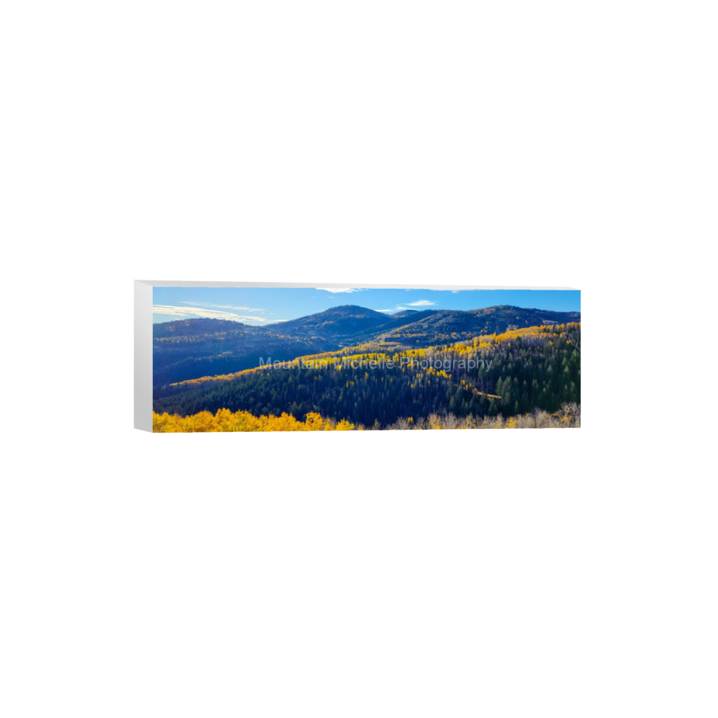 ptq_7_2_0_2360_12000_4000_0_false_ffffff_0_0_731a5c5f601d11ffb5c856ca918f5642.png