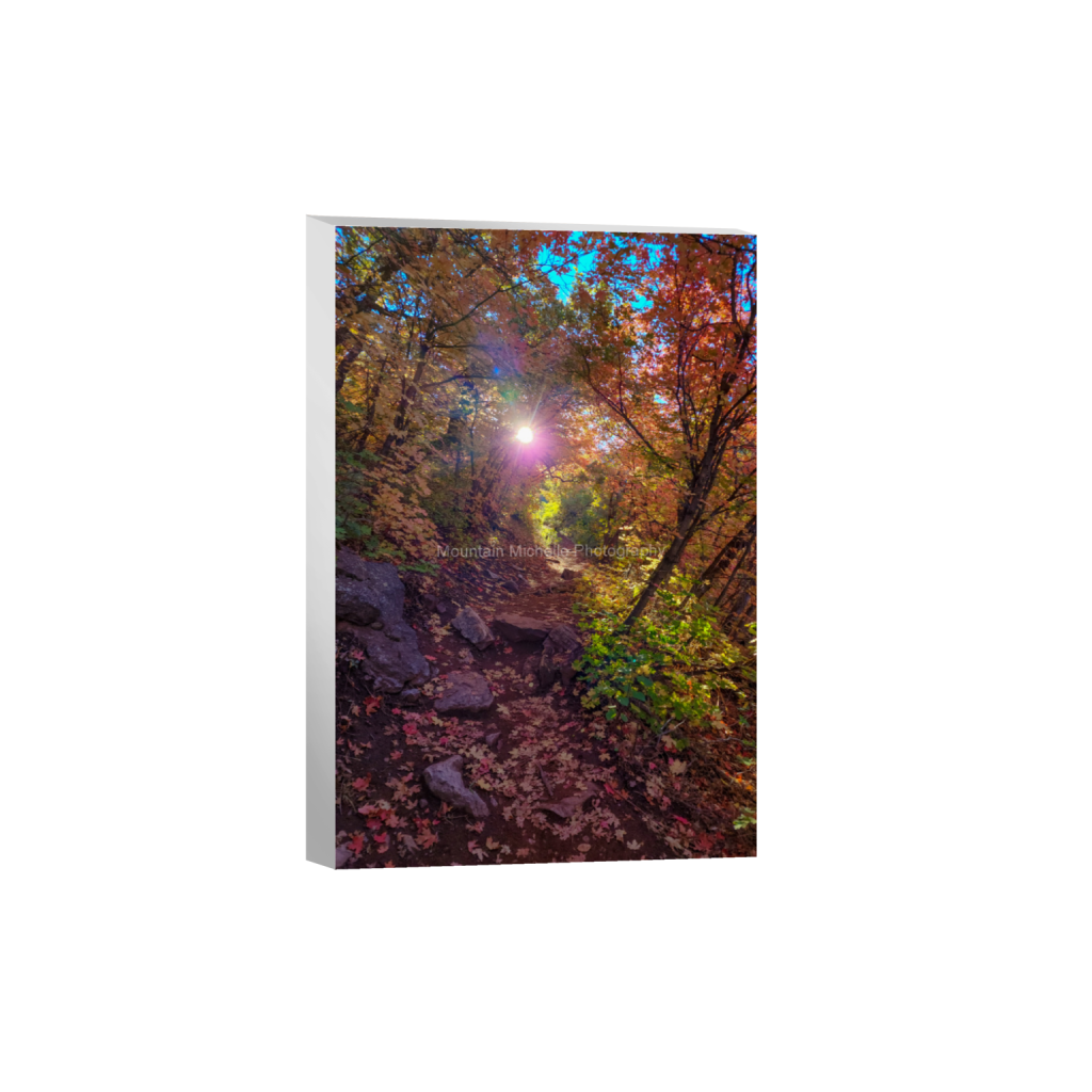 ptq_7_3_0_0_8000_12000_0_false_ffffff_0_0_731a5c5f601d11ffb5c856ca918f5642.png