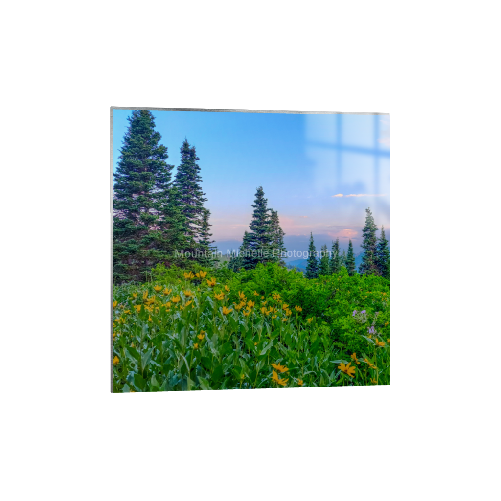 ptq_13_0_1119_0_5596_5596_0_false_ffffff_0_0_731a5c5f601d11ffb5c856ca918f5642.png