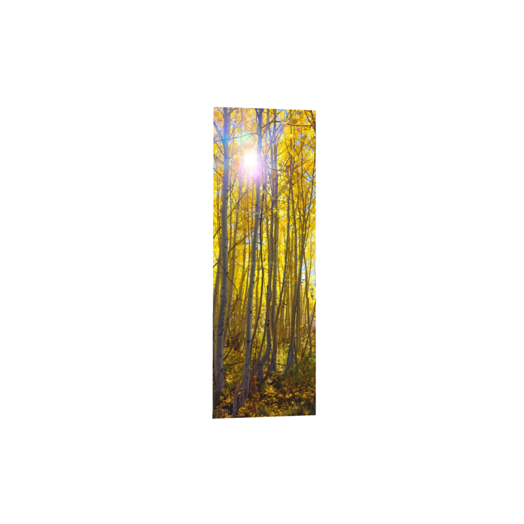 ptq_1_2_2340_0_4000_12000_0_false_ffffff_0_0_731a5c5f601d11ffb5c856ca918f5642.png