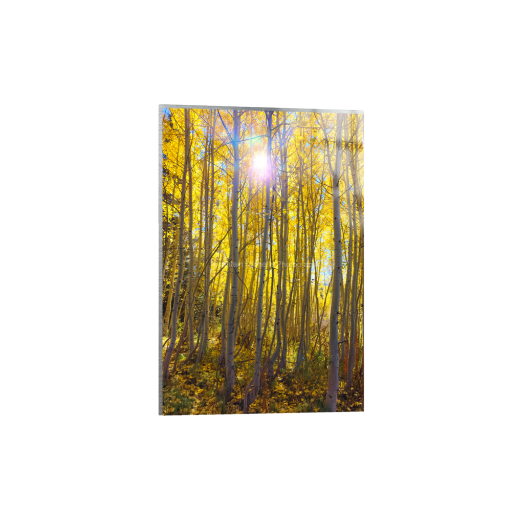 ptq_13_3_0_0_8000_12000_0_false_ffffff_0_0_731a5c5f601d11ffb5c856ca918f5642.png