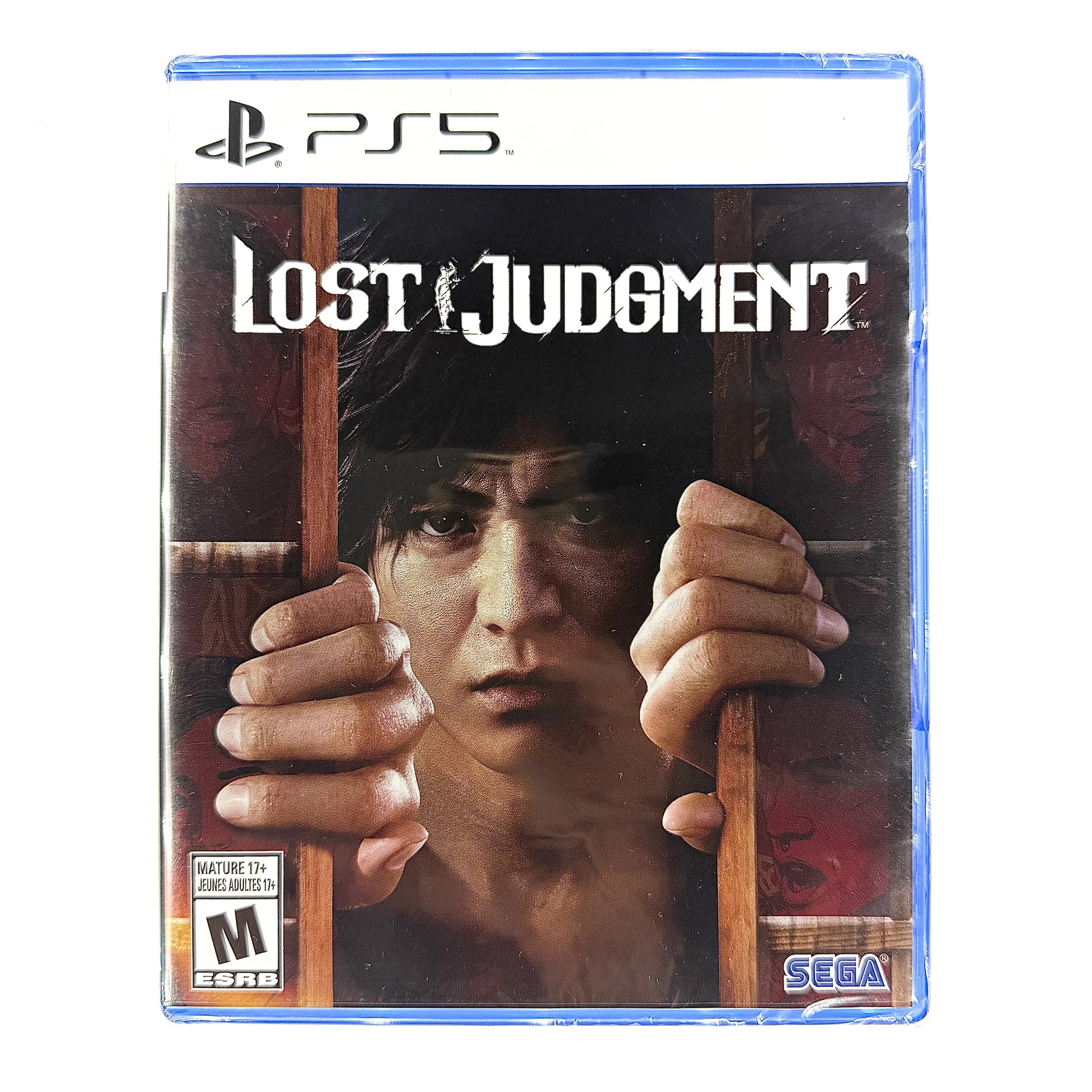 Lost Judgment
