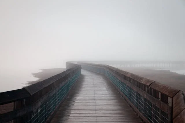 bridge disappears into fog ken cheatham