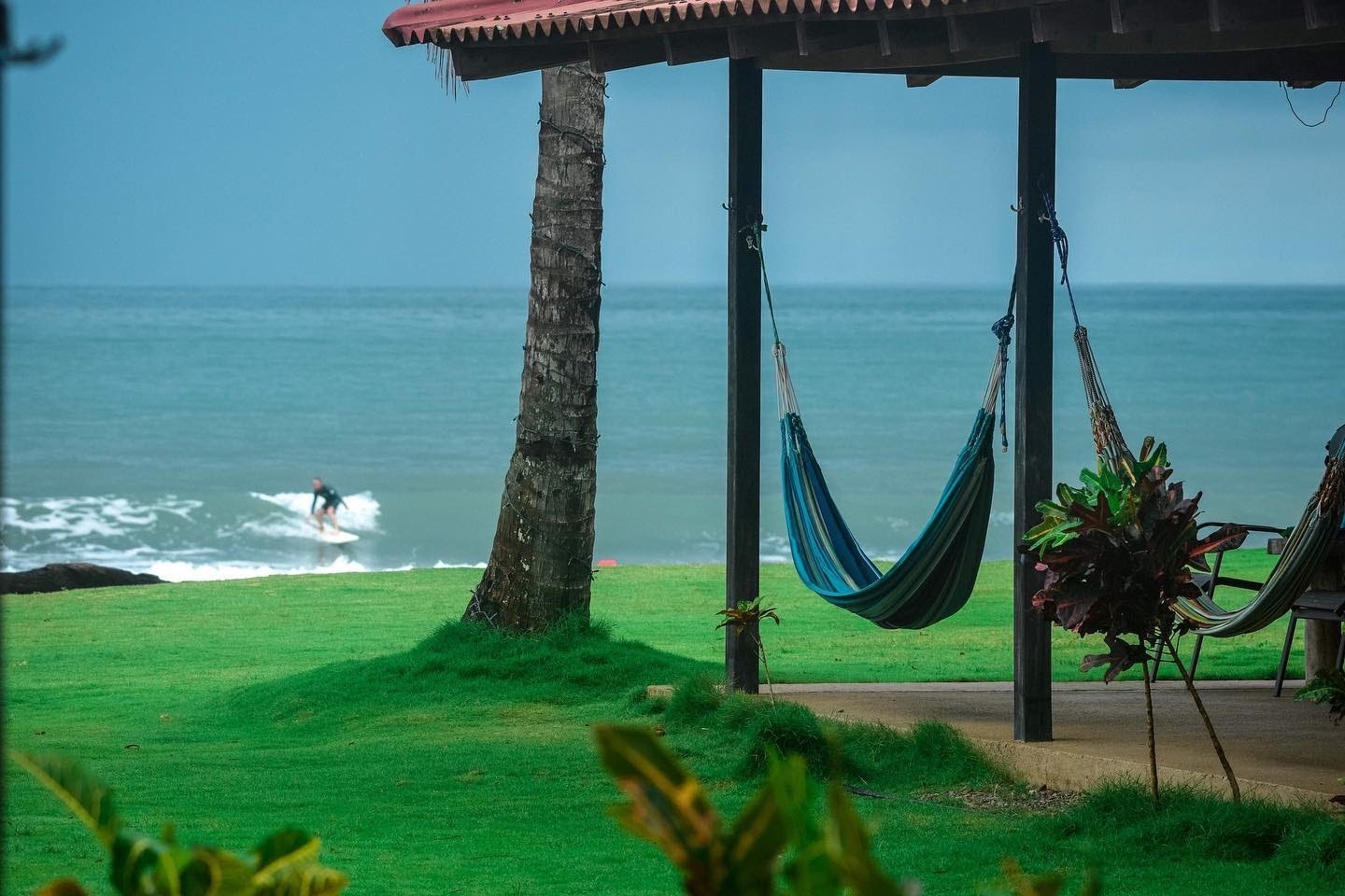 hammock.jpeg