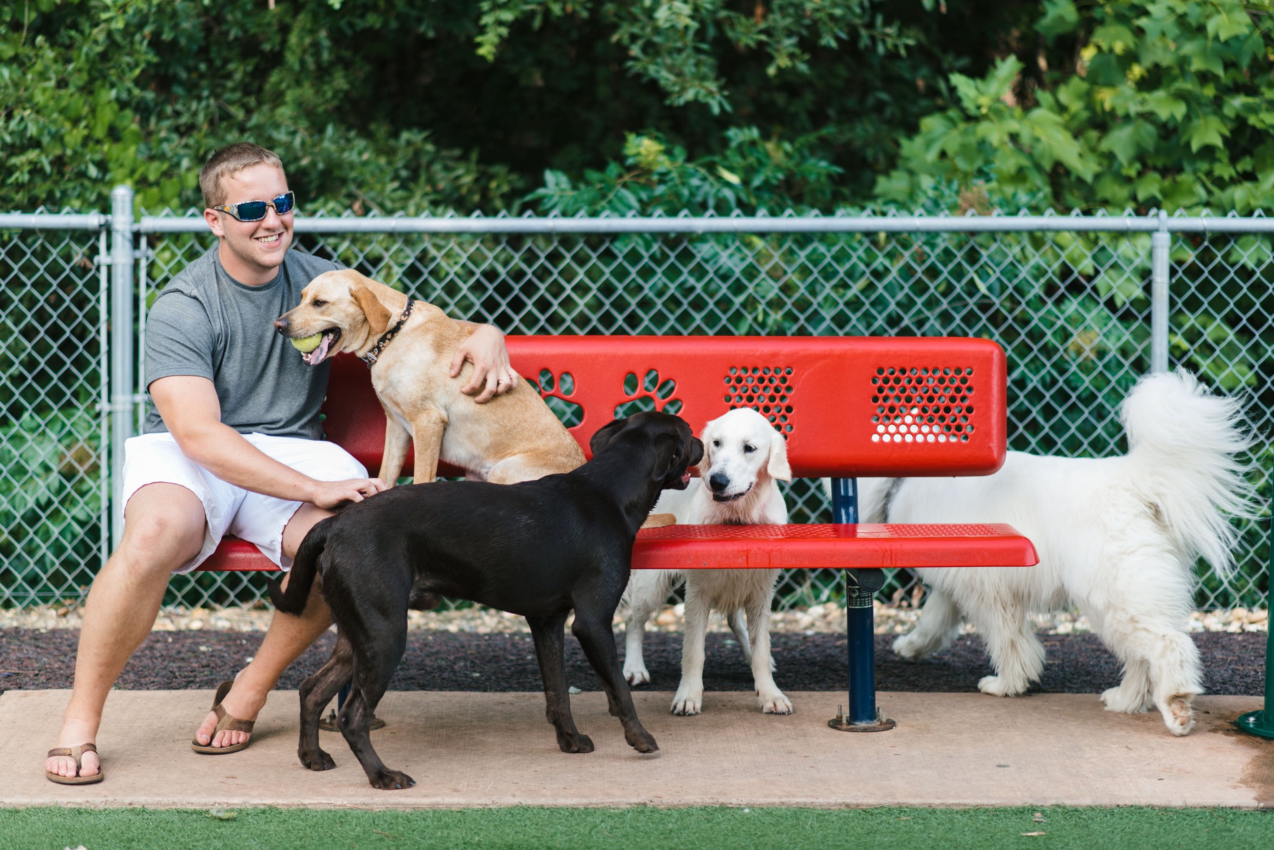 Newton Dream Dog Park-GA-Specialty Bench-Perforated Dog park Bench with Paw Print Design-View 02.jpg