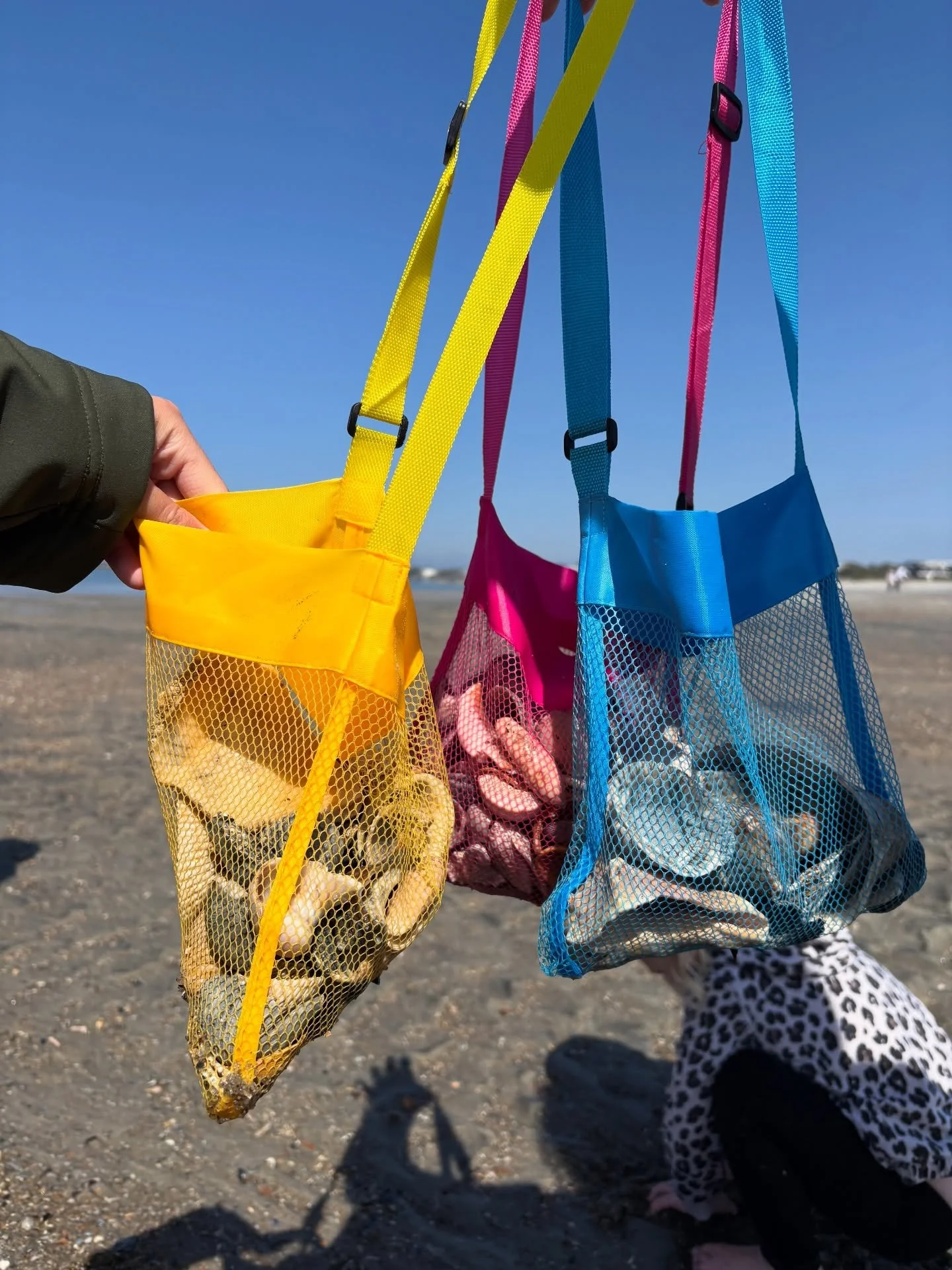 Full bags on our shell tours ❤️☀️