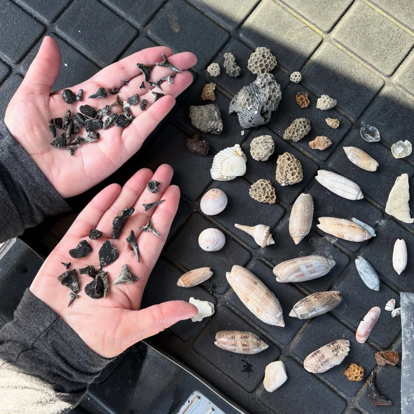 Wow! We have a shelling tour wide open today at 4:30PM for this beautiful weather ☀️