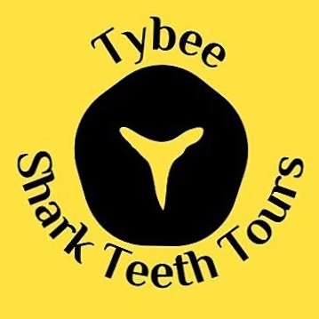 Tybee Shark Teeth Tours