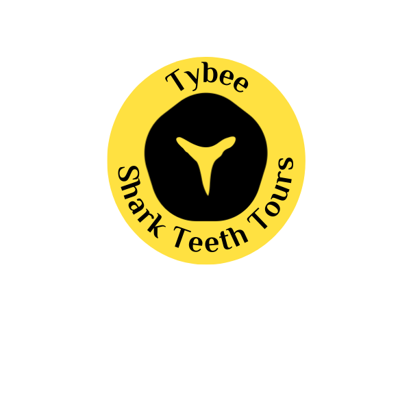 Tybee Shark Teeth Tours