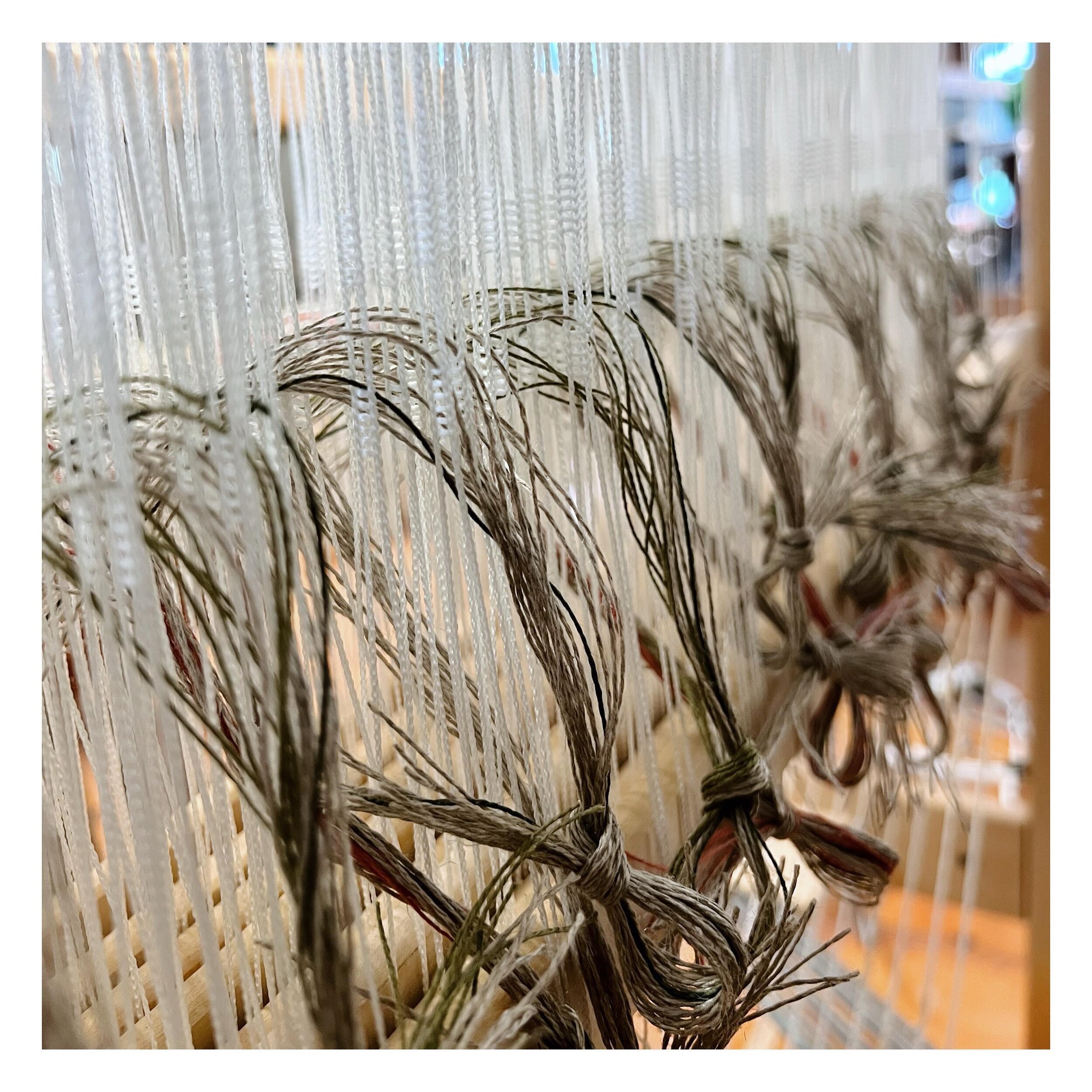 Threaded, sleyed, and ready to tie on 🙂🧵❤️
.
.
.
.
#sleythereed #threadtheheddles #weaving #weavingprocess #weaver #handwoven #handmade #finecraft #dresstheloom #linen #linenlove #naturalfibers #sustainablefiber #louetdavid #bockenslinen