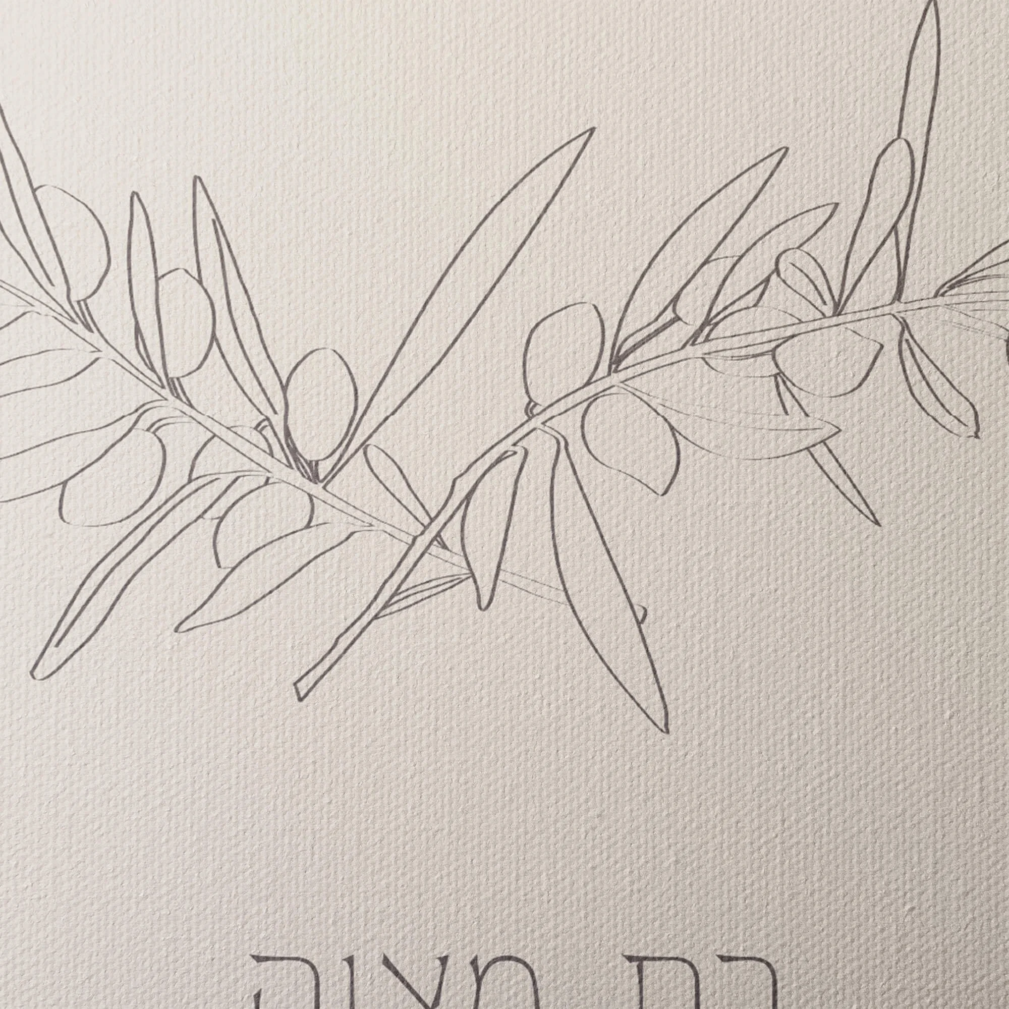 12 Olive Grove BM gallery canvas closeup 2.jpg