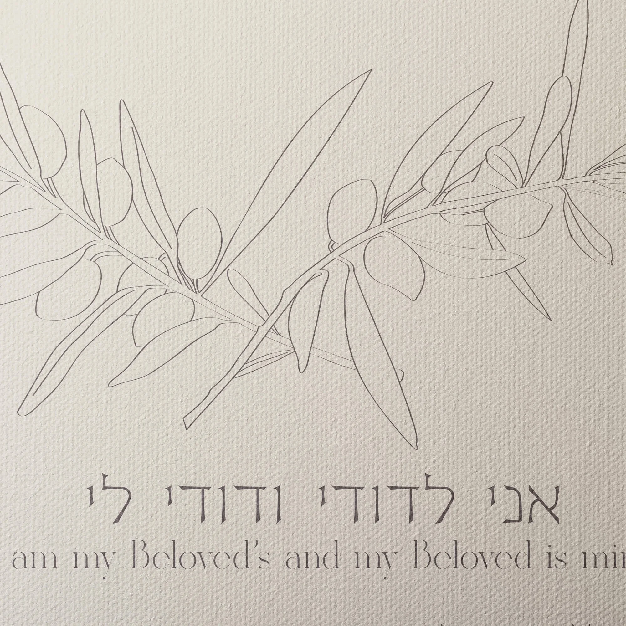 12 olive grove ketubah gallery canvas closeup 2.jpg