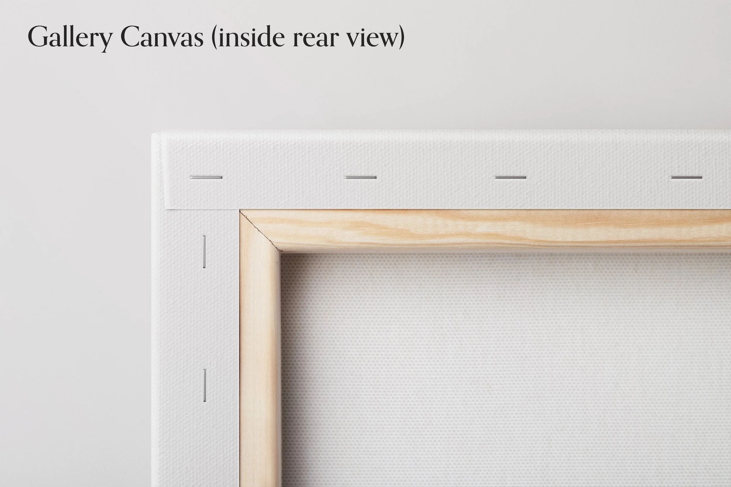 TO Gallery Canvas inside rear view.jpg