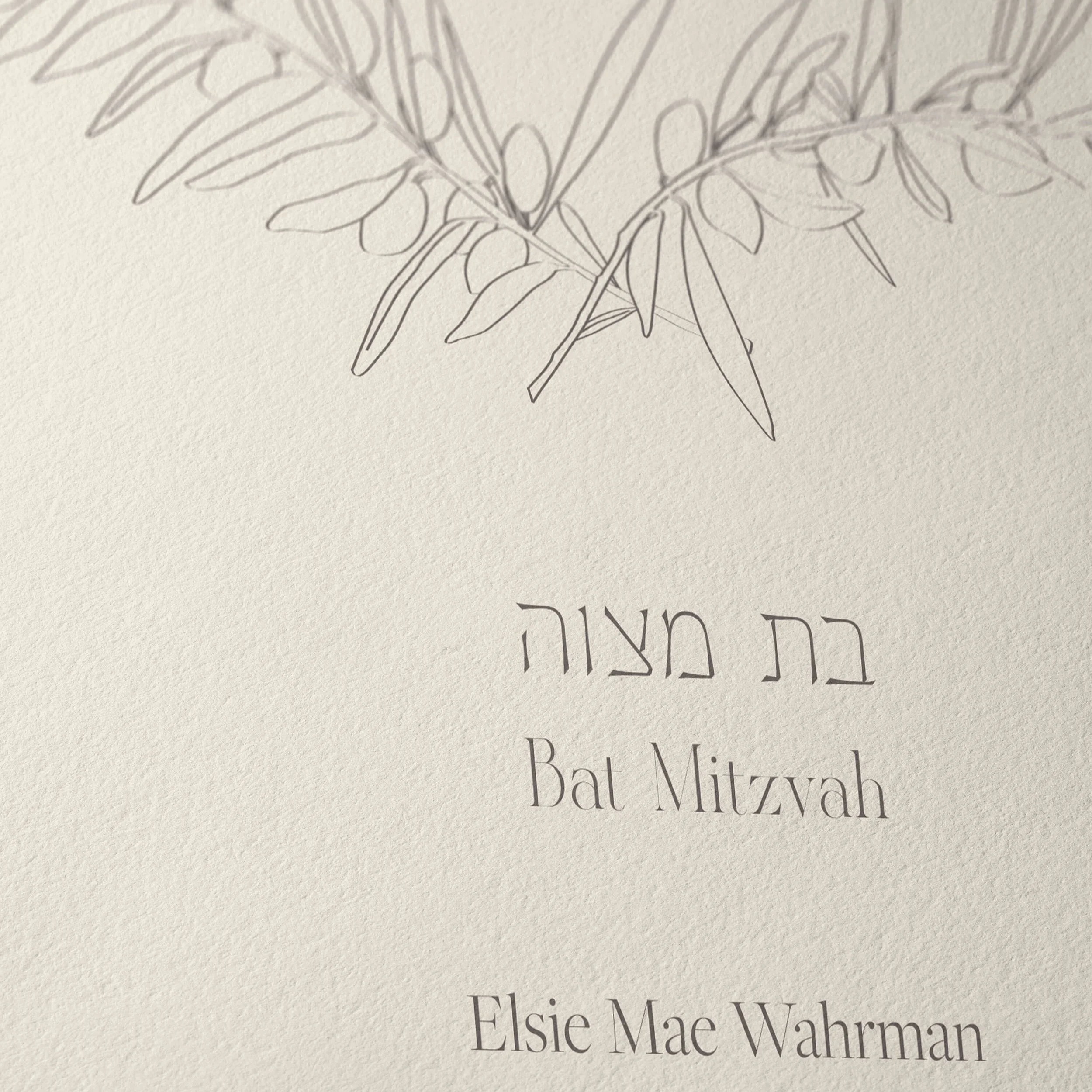 2 Olive Grove BM paper closeup 3.jpg