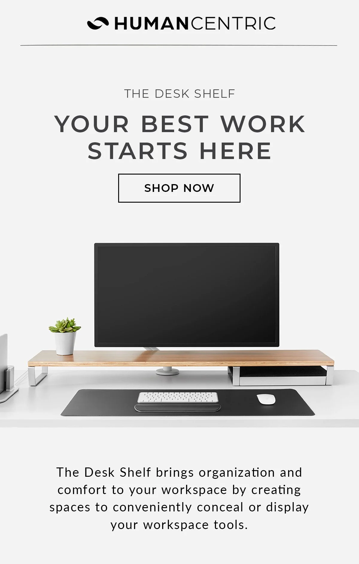 Desk Shelf Highlight-1.jpg