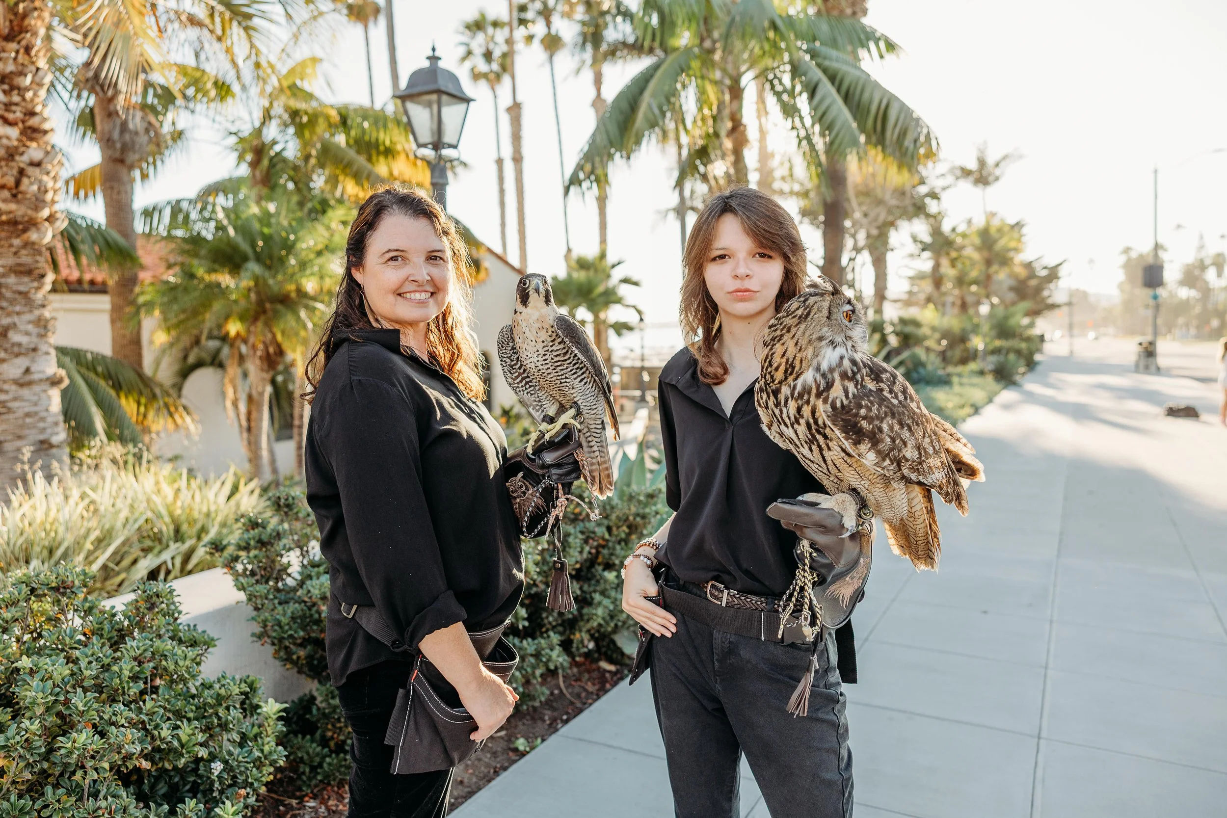 Sweethawk - Wedding Wings