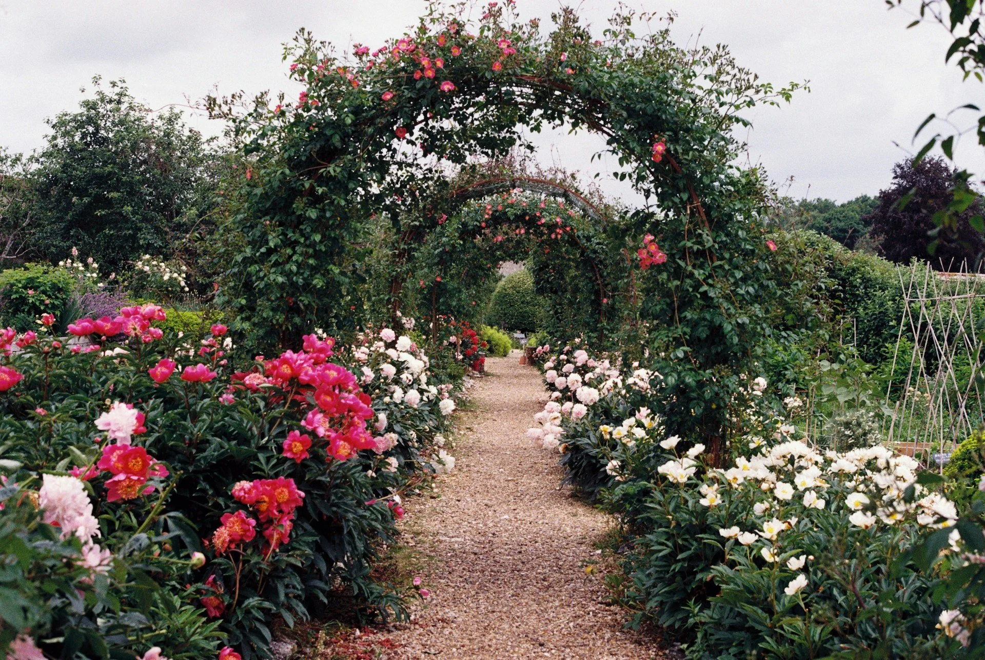 Speaker Series: Structure &amp; Structures in the Garden