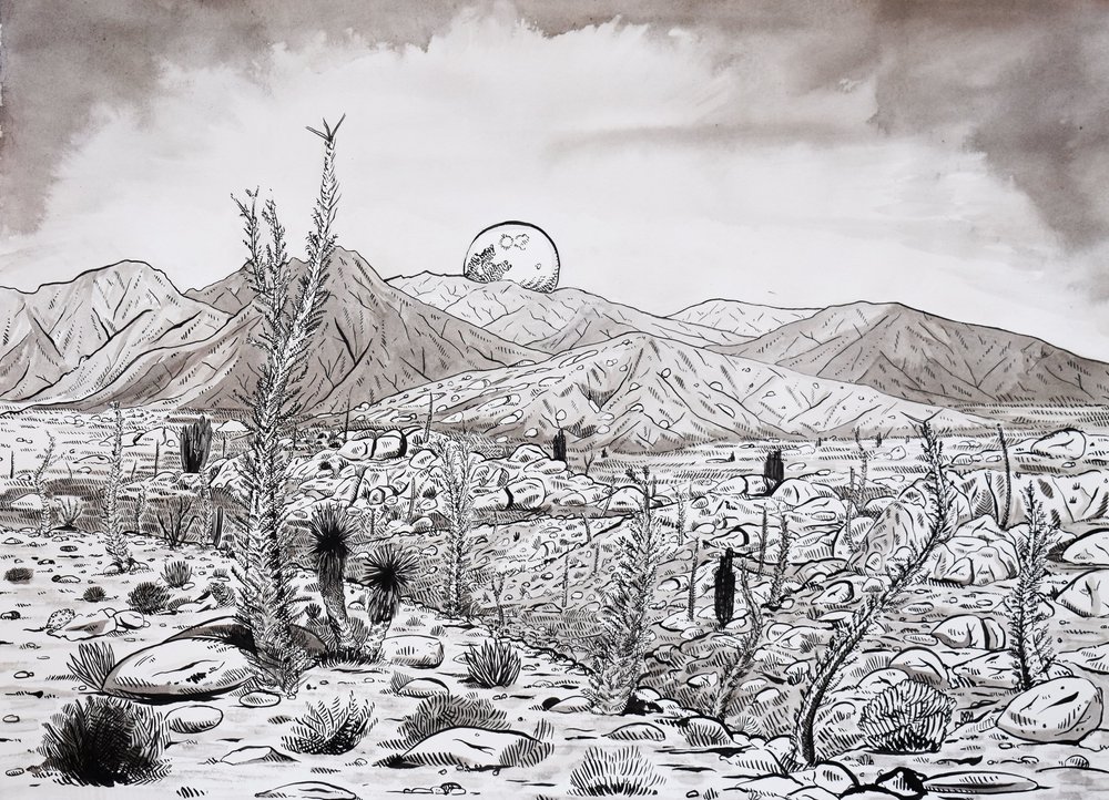 Gallery 1 — Crime Pays But Botany Doesn't