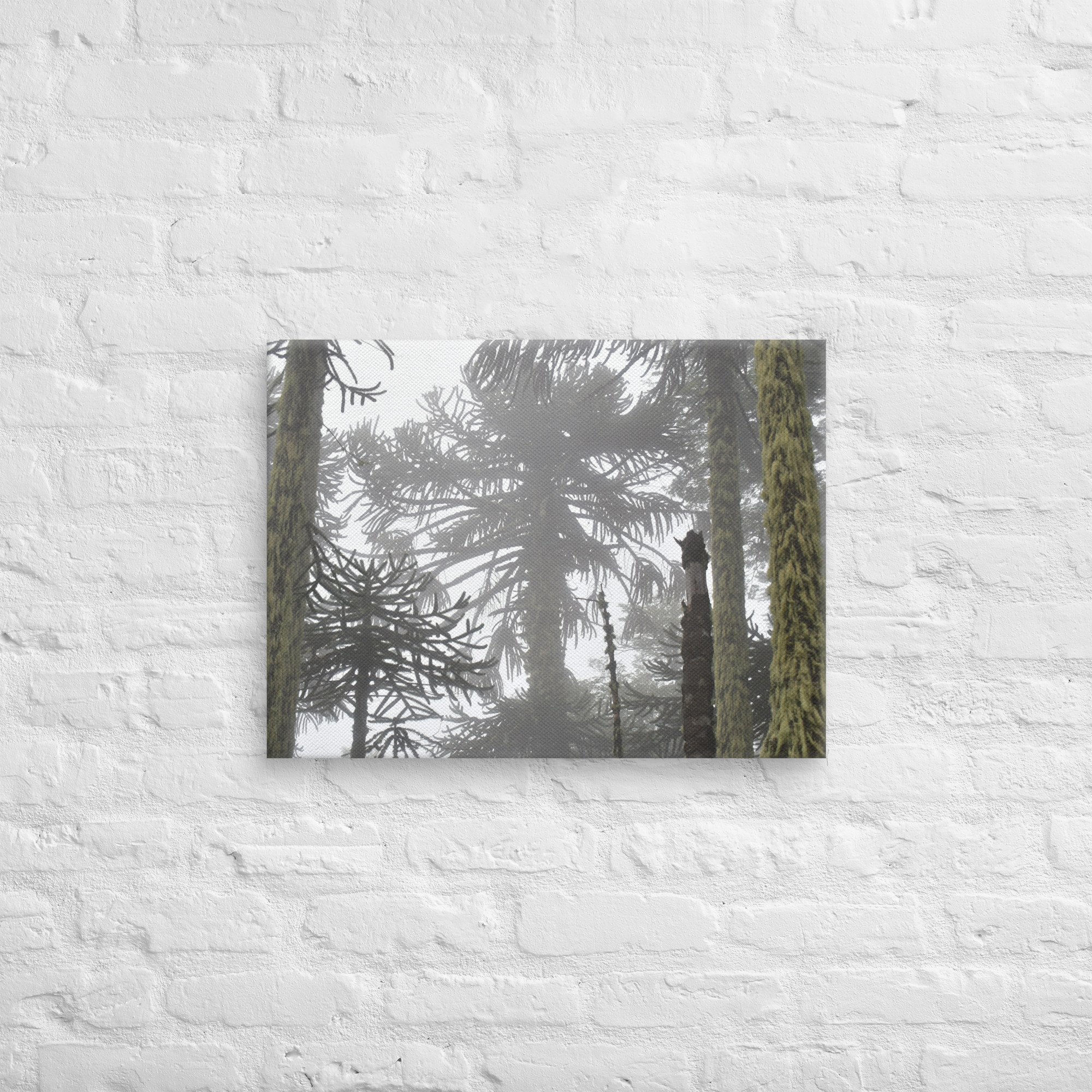 canvas-(in)-18x24-front-681546aab7258.jpg