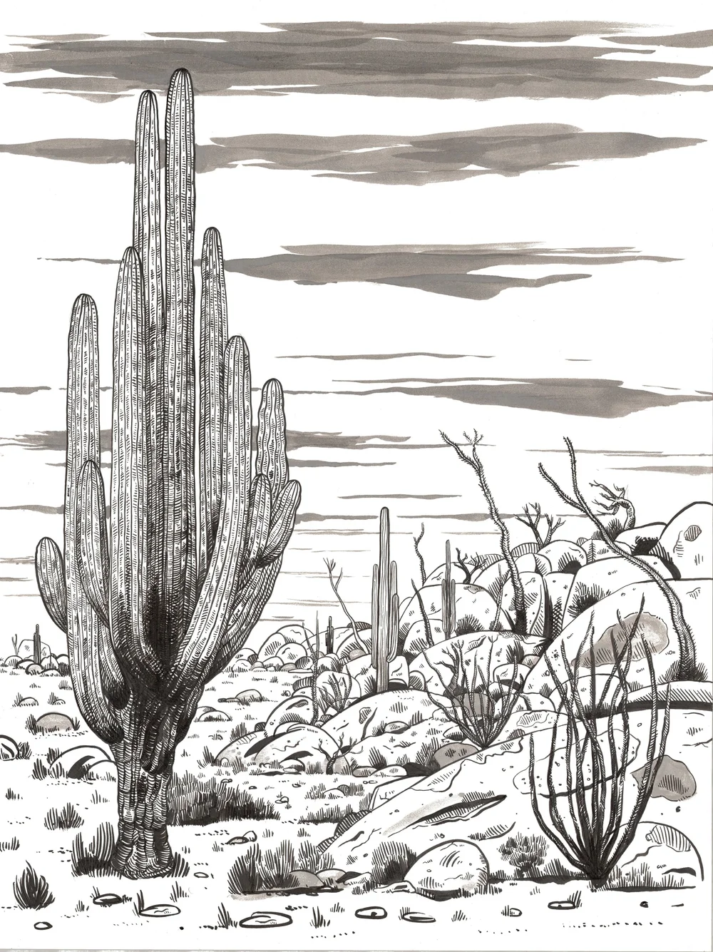 Gallery 1 — Crime Pays But Botany Doesn't