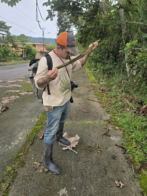 Blog — Crime Pays But Botany Doesn't