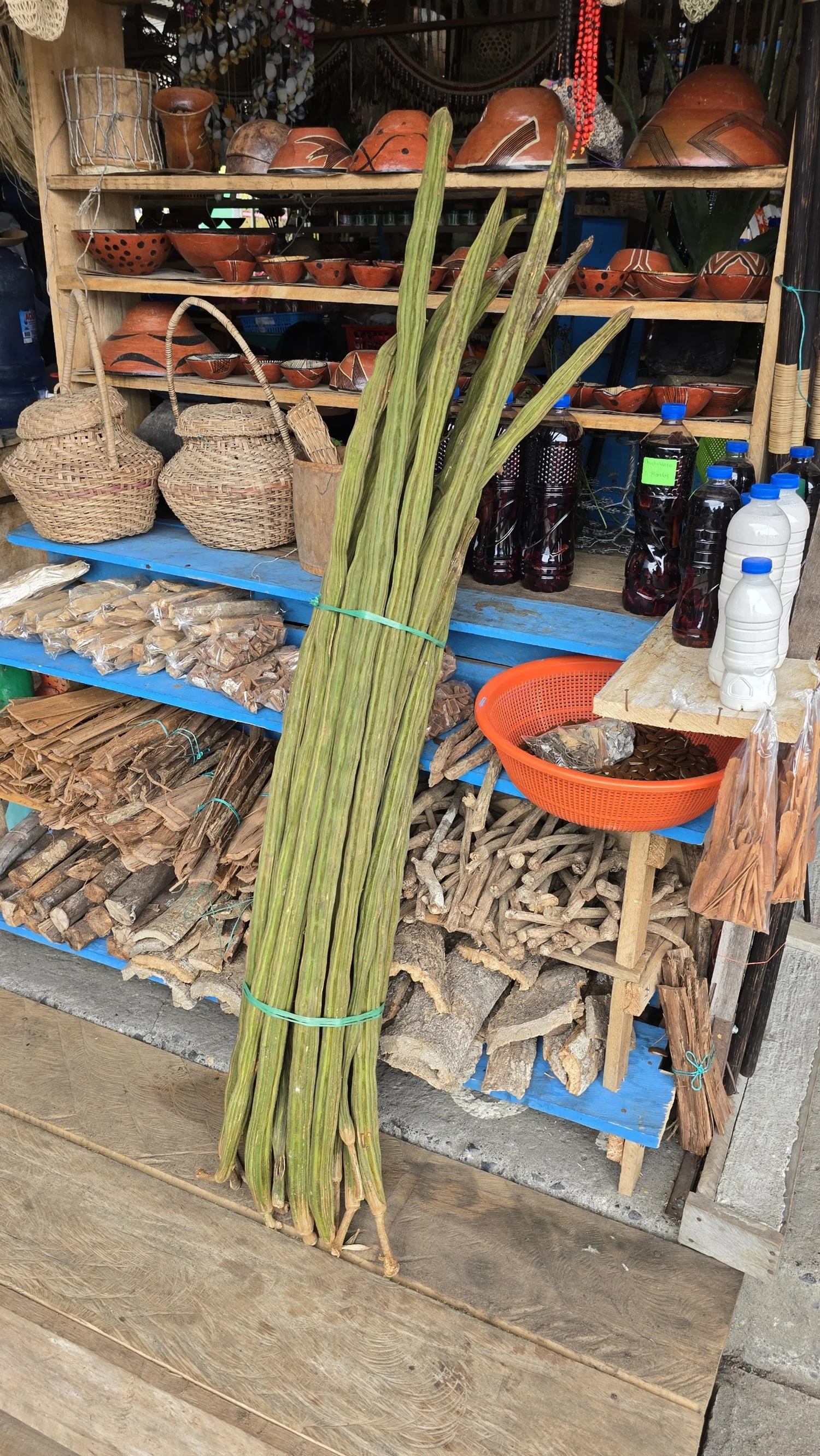 Blog — Crime Pays But Botany Doesn't