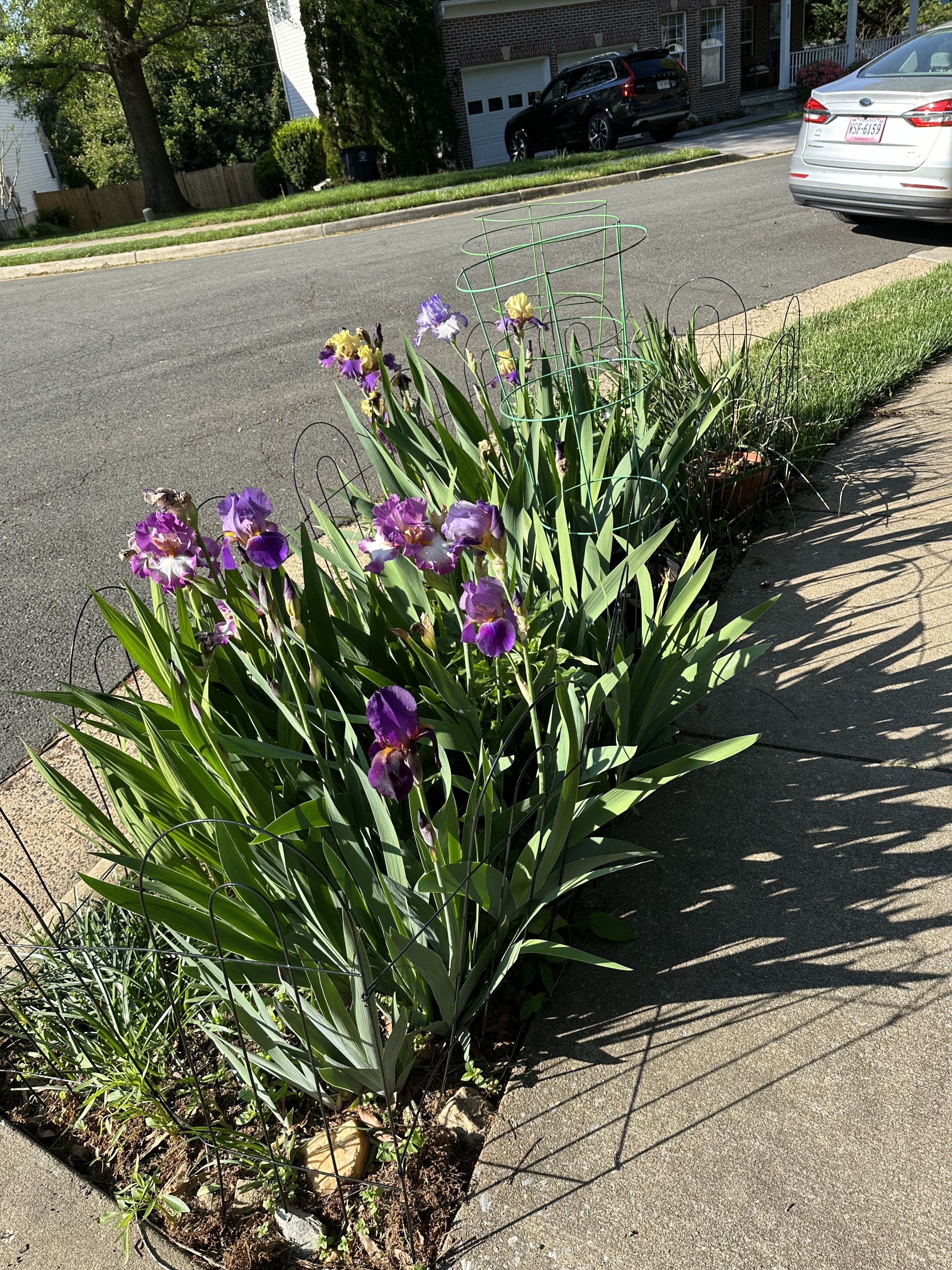 IMG_2902.jpeg