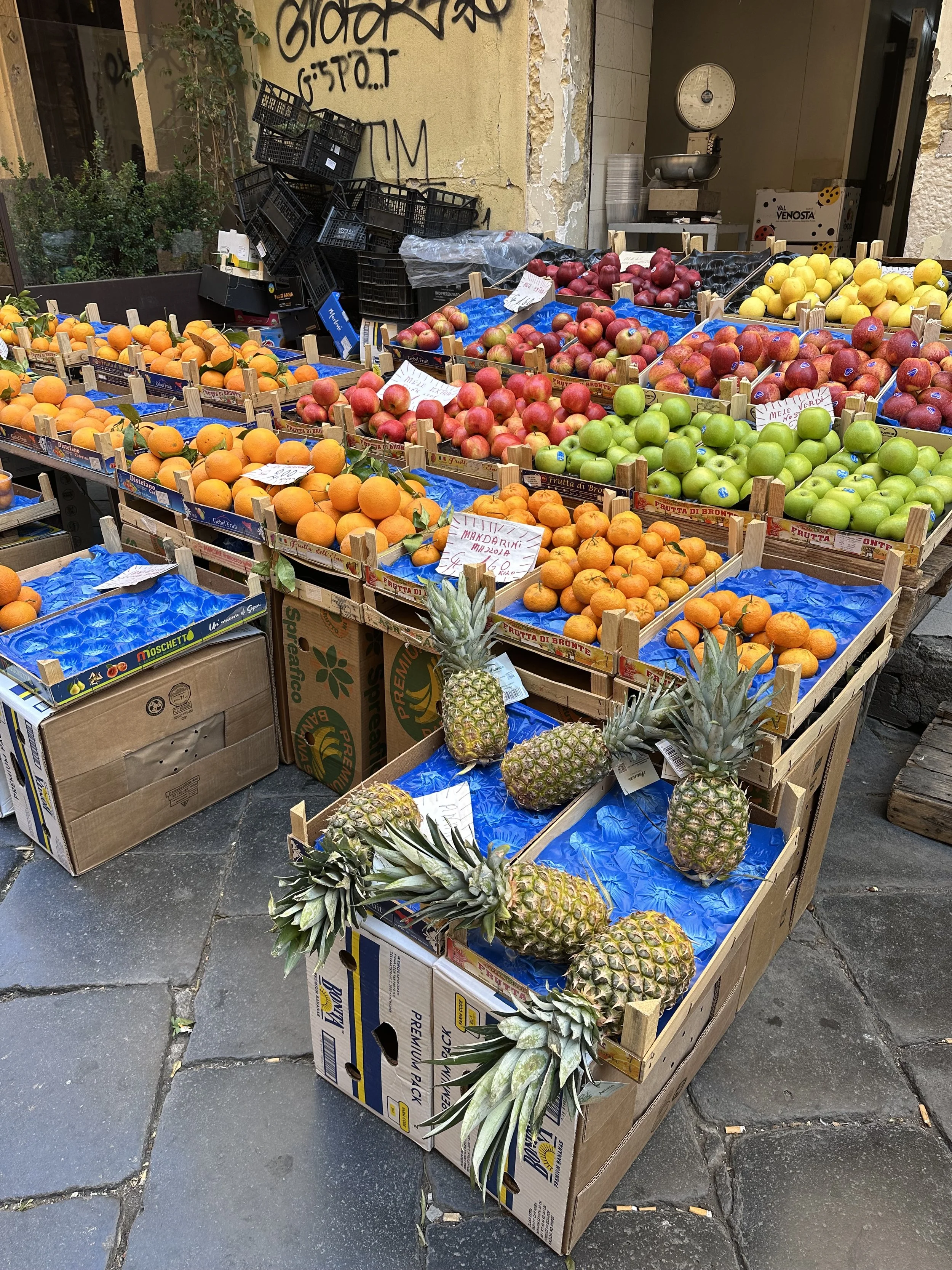 Gorgeous Fresh EVERYTHING