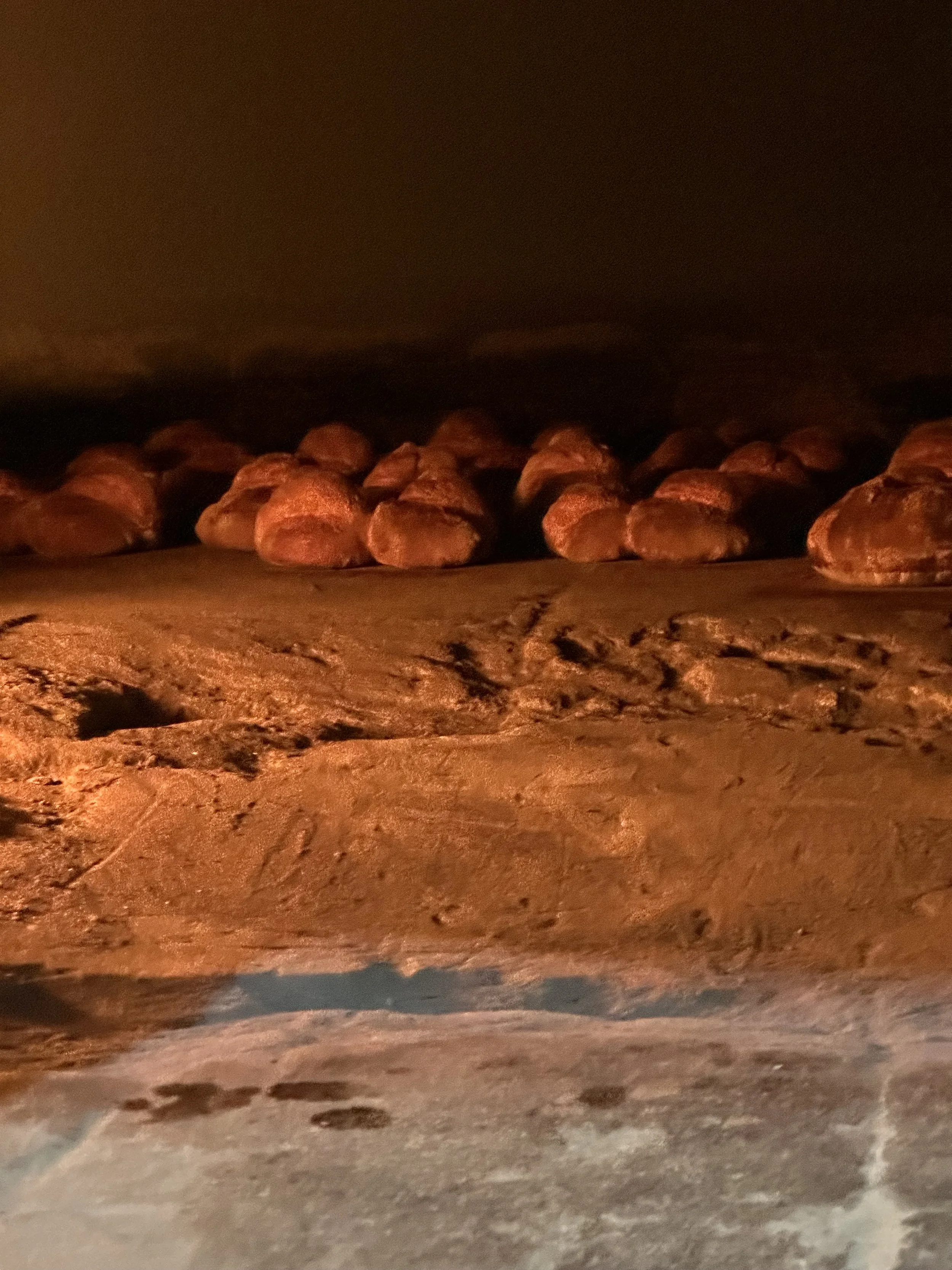 Breads in the wood fired oven