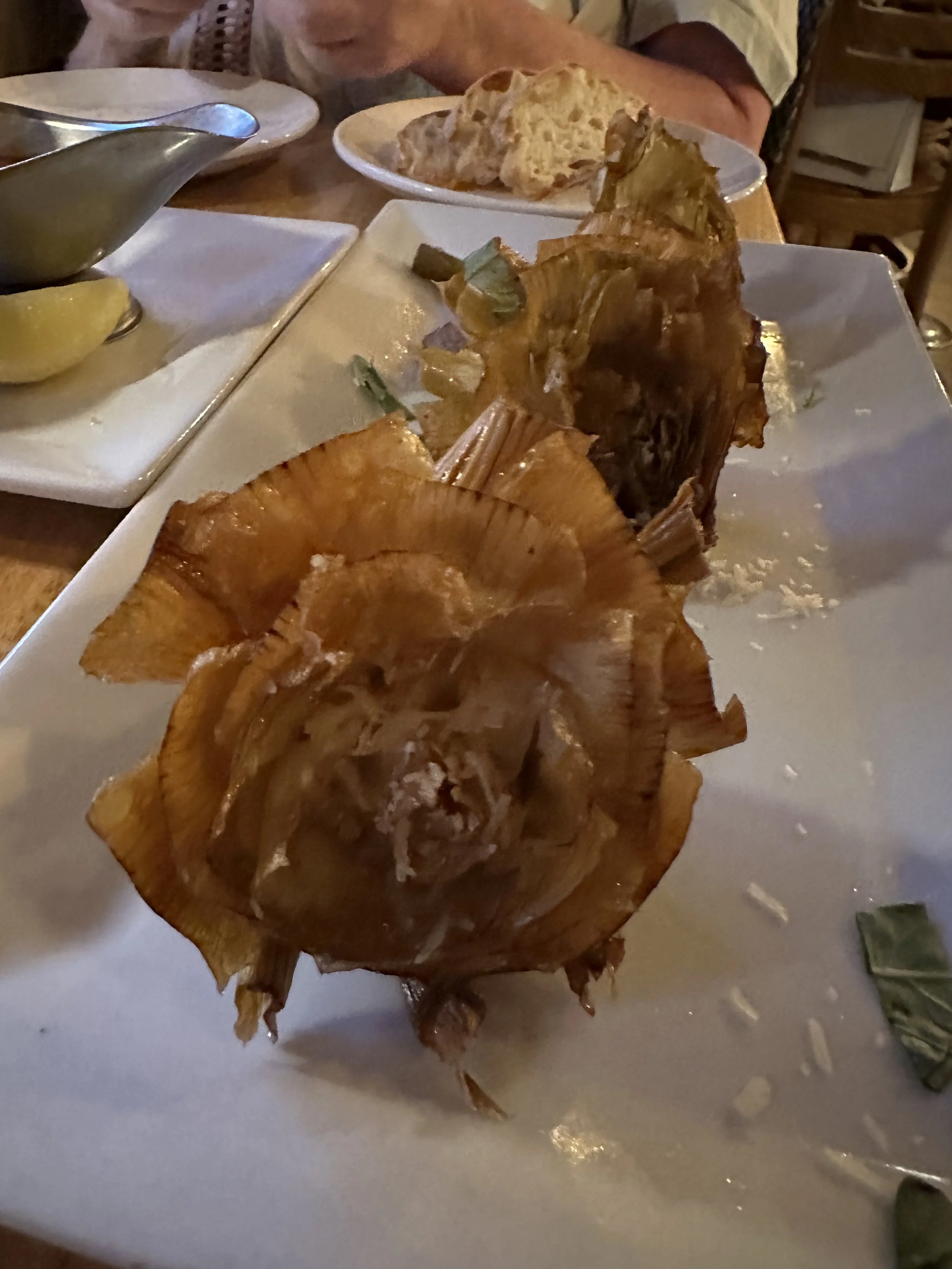 Adventure 1 - Luigino's Parmigiana in Montclair, NJ