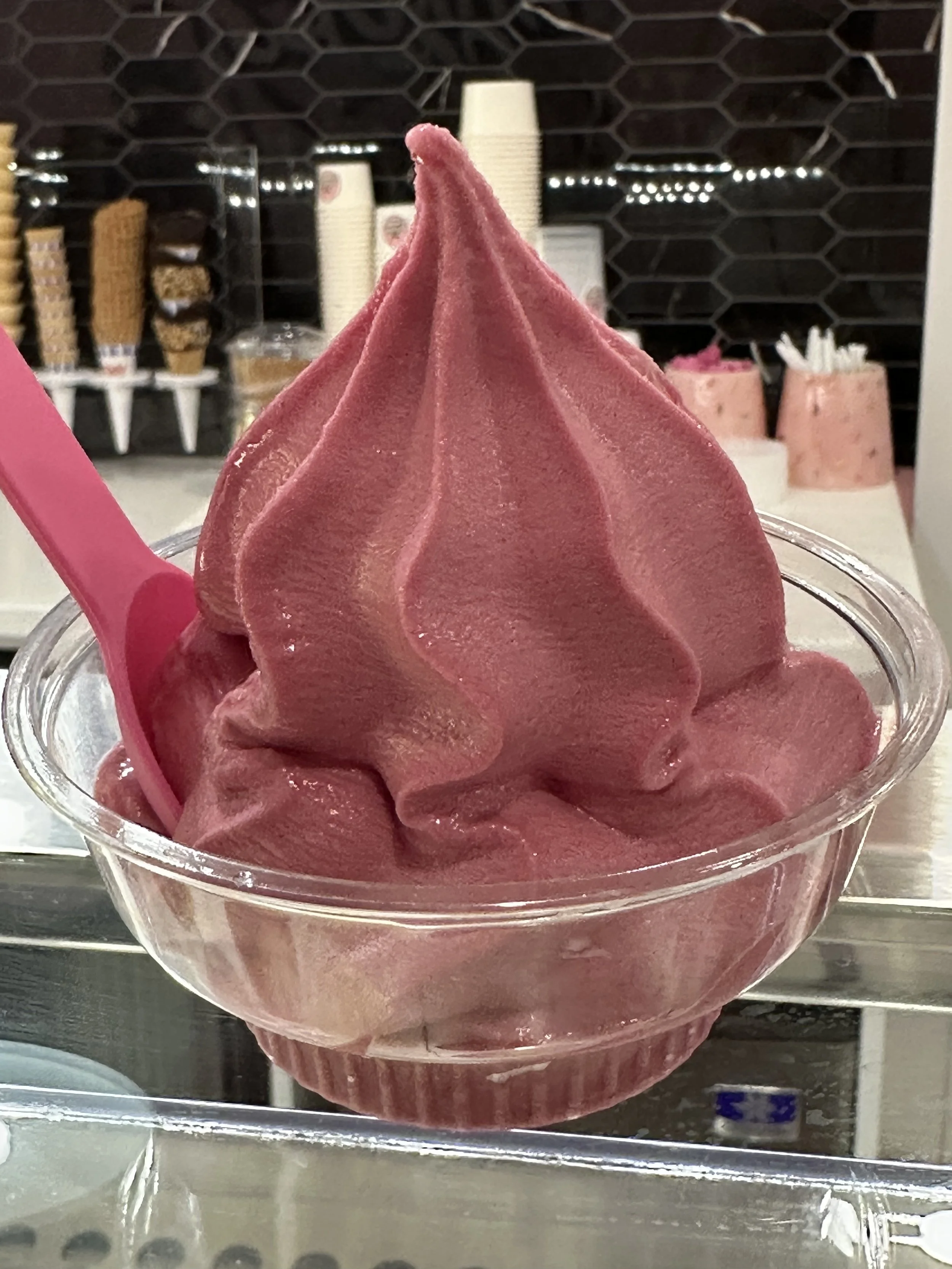 Adventure 5A - Wadi Scoops in North Bergen, NJ