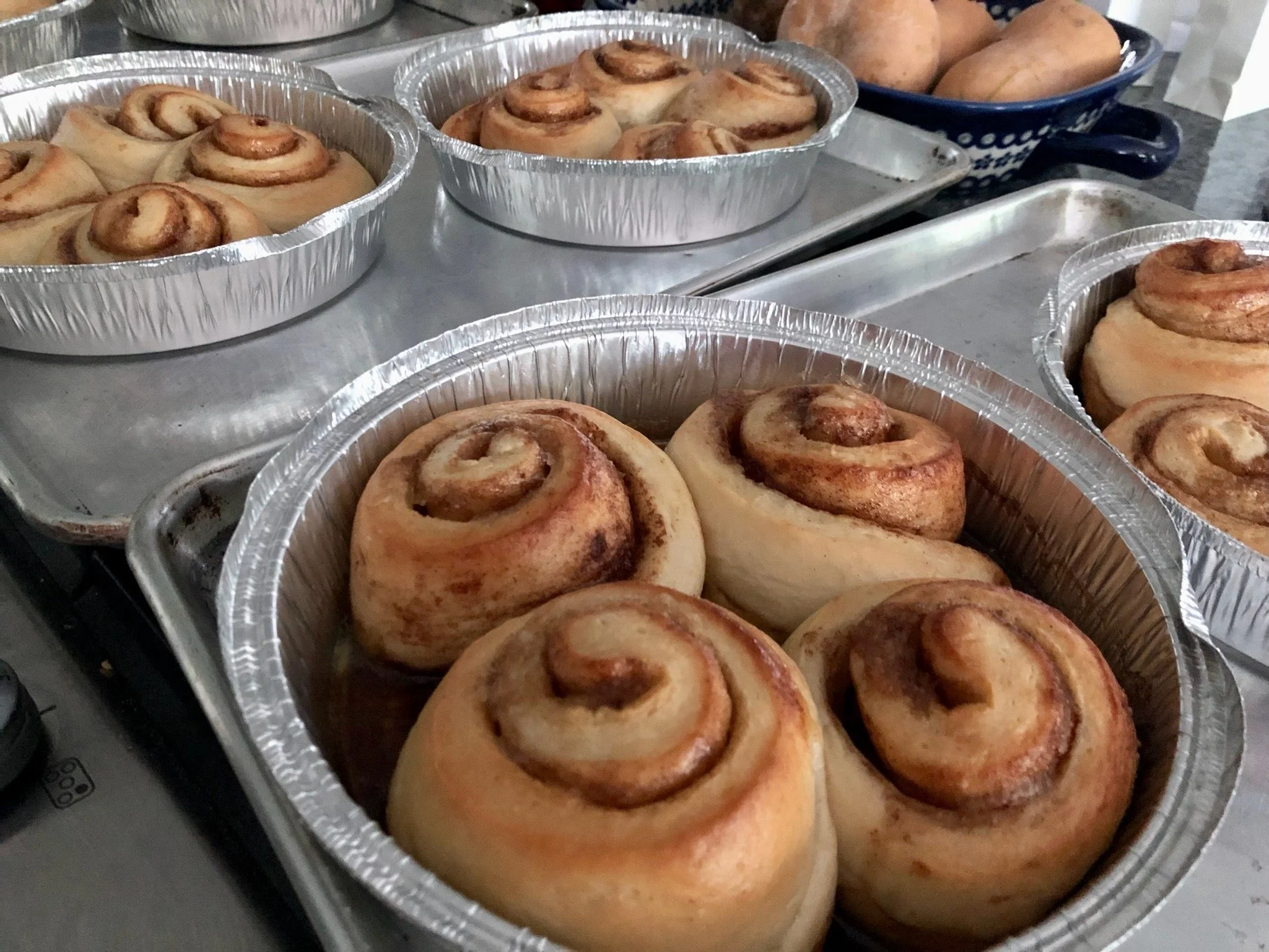 IMG_7809.jpeg (Copy)