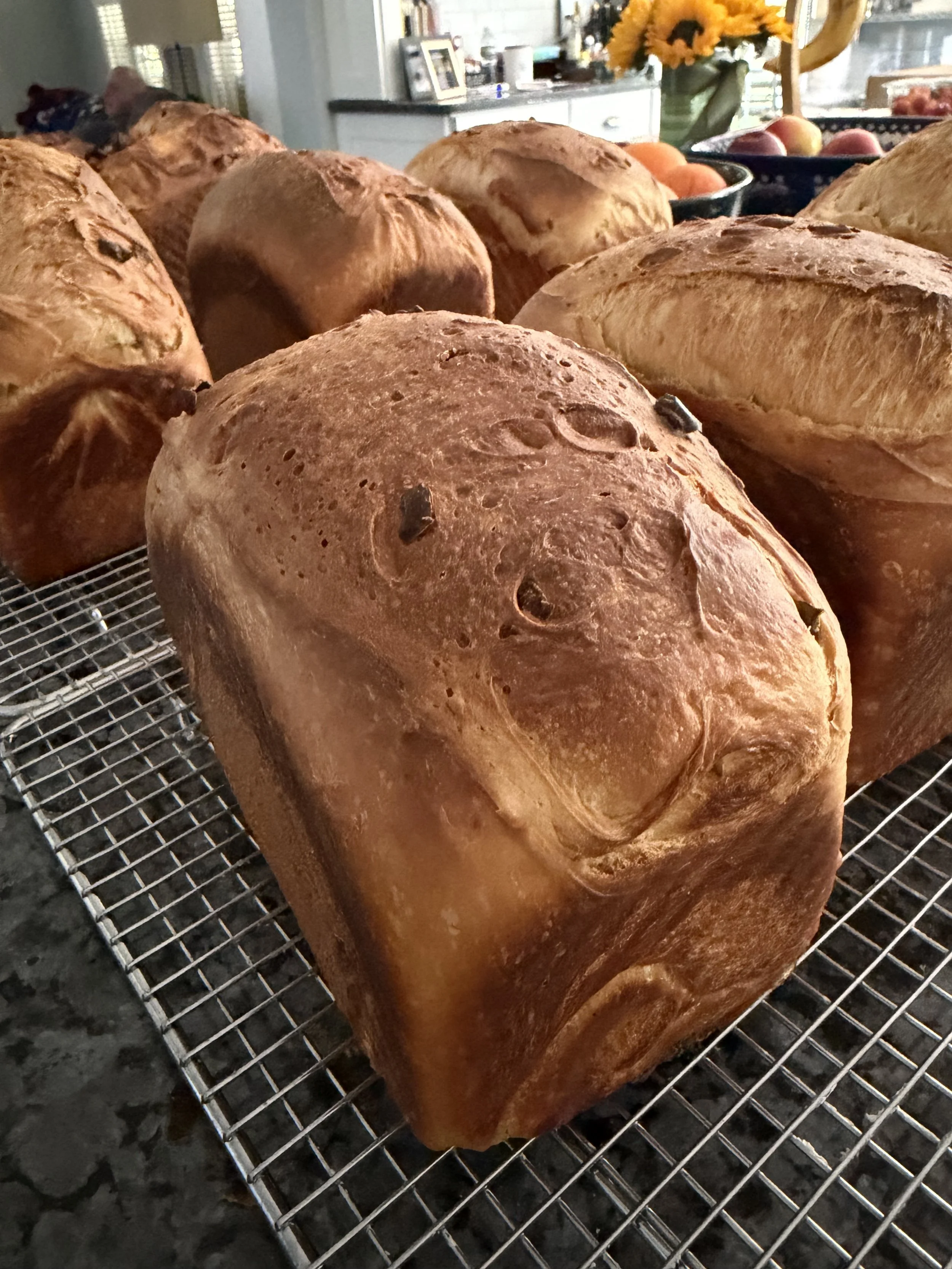 Order Sourdough Sandwich Bread for January 30