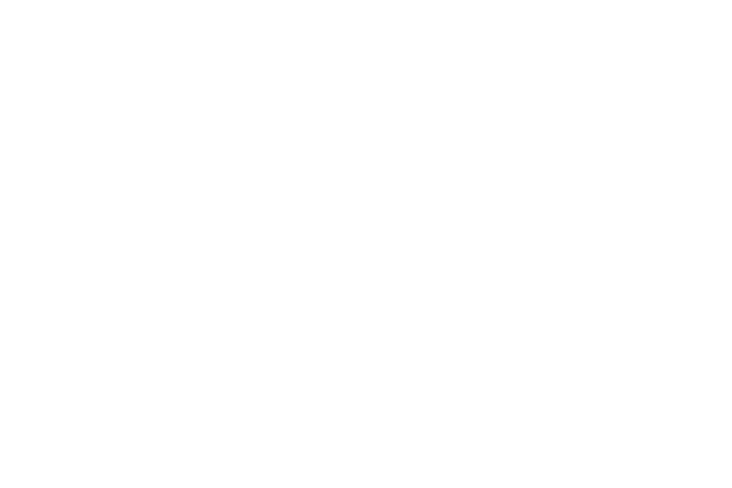 Shaila Rae Photography+