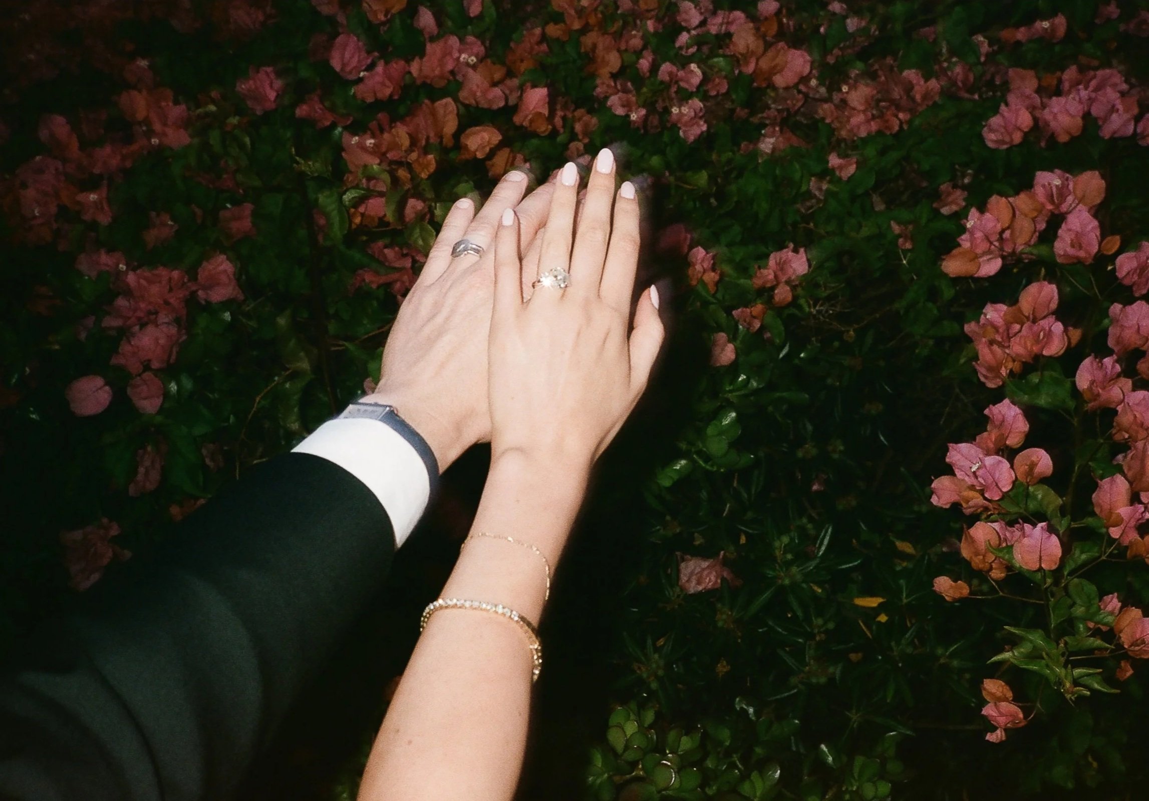 laguna_film-128+%281%29.jpg