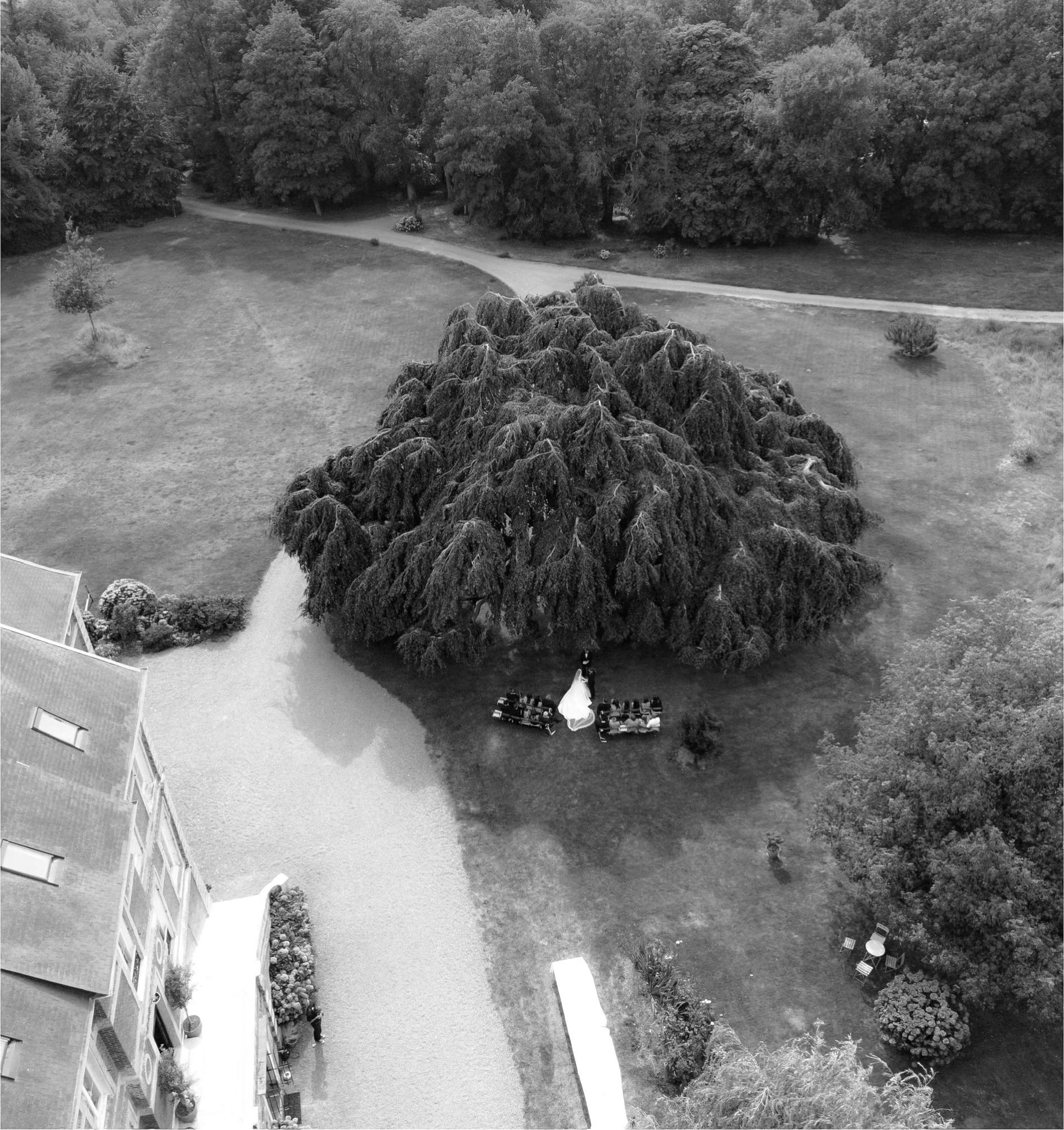 drone-20.jpg