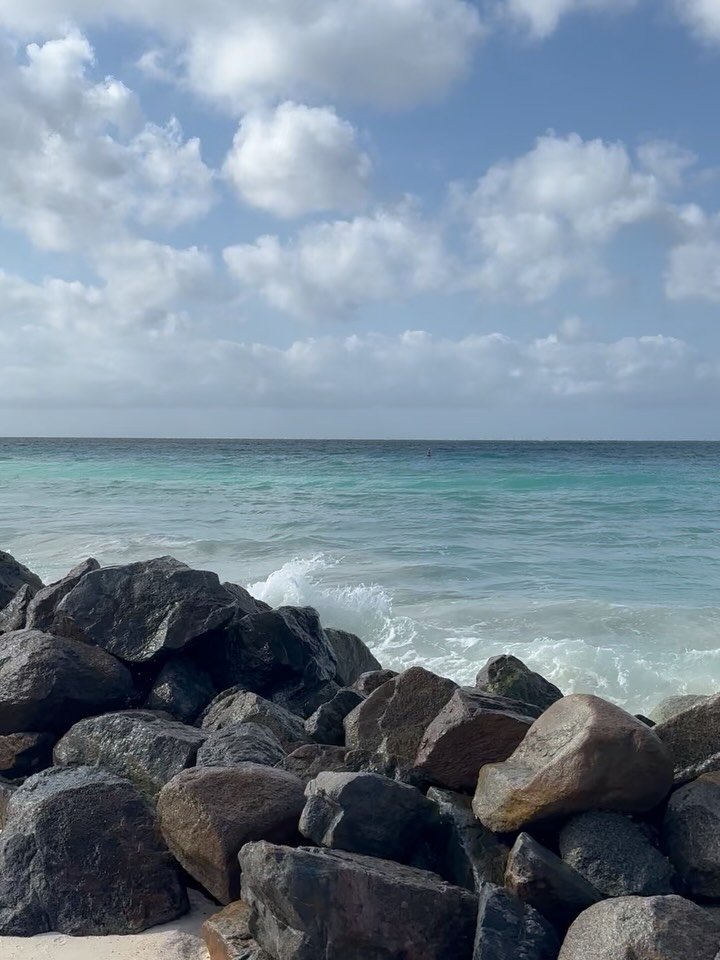 Reminiscing about our week in the sun ☀️