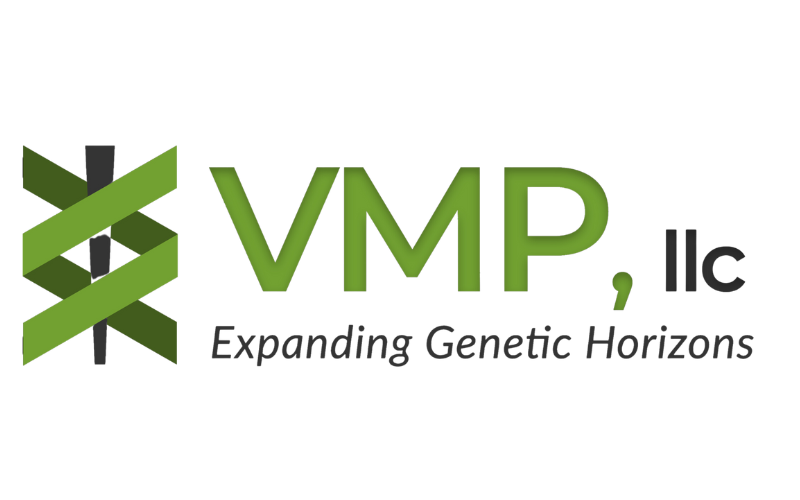 VMP Genetics.png