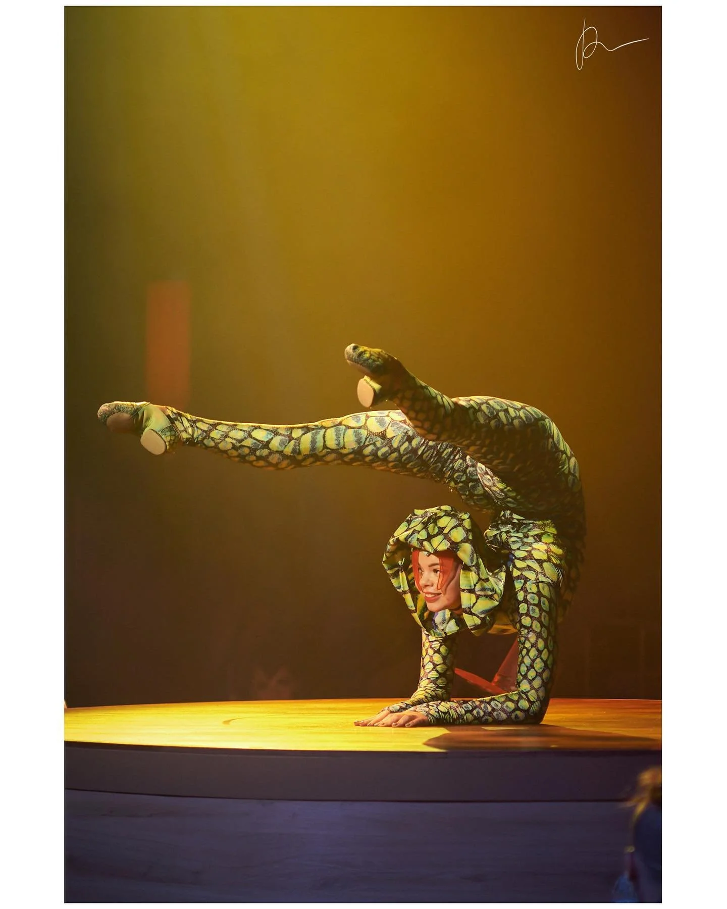 ASSOCIATE — MICHELLE RIDLEY