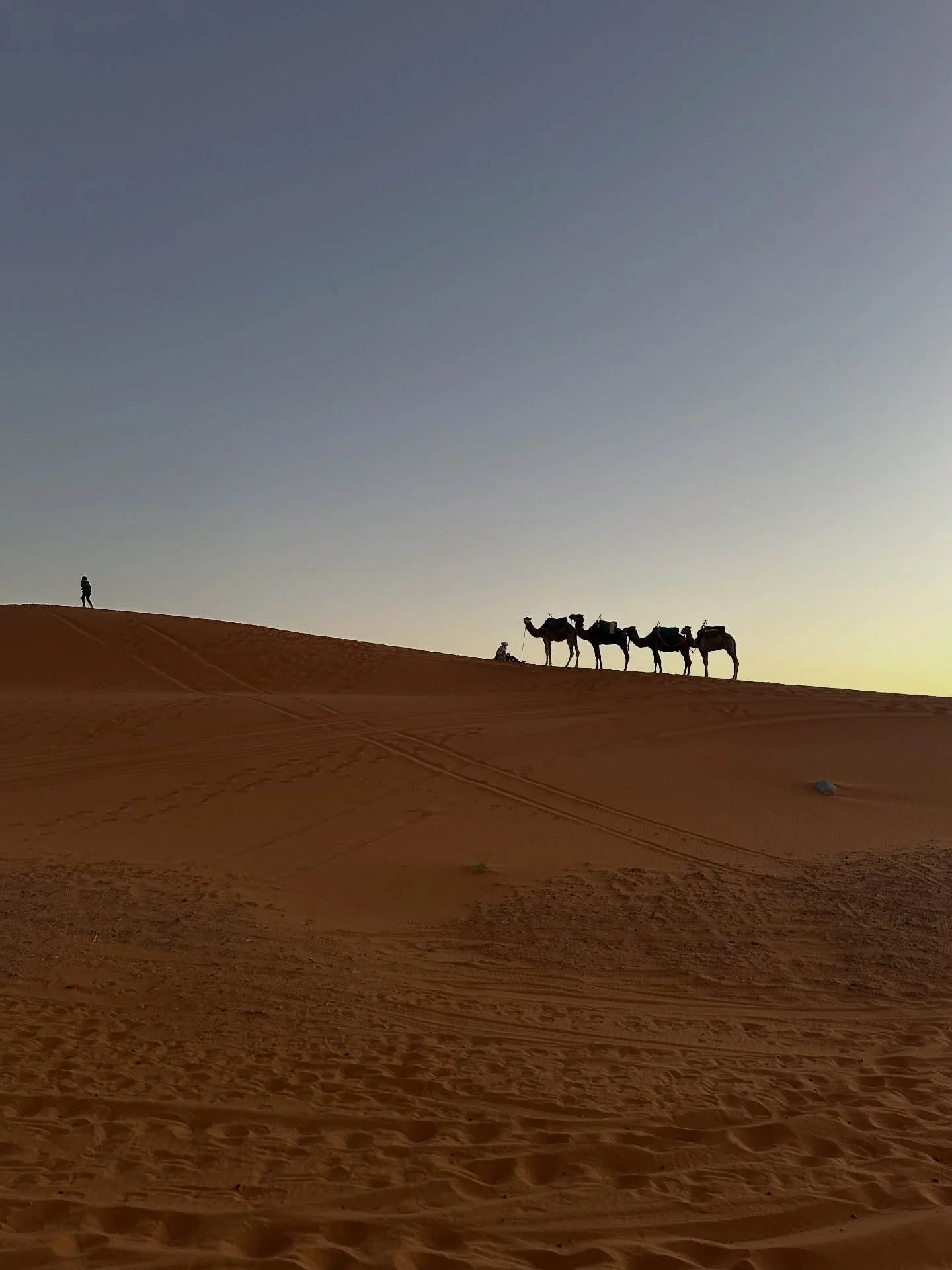 beautiful magical ridiculous