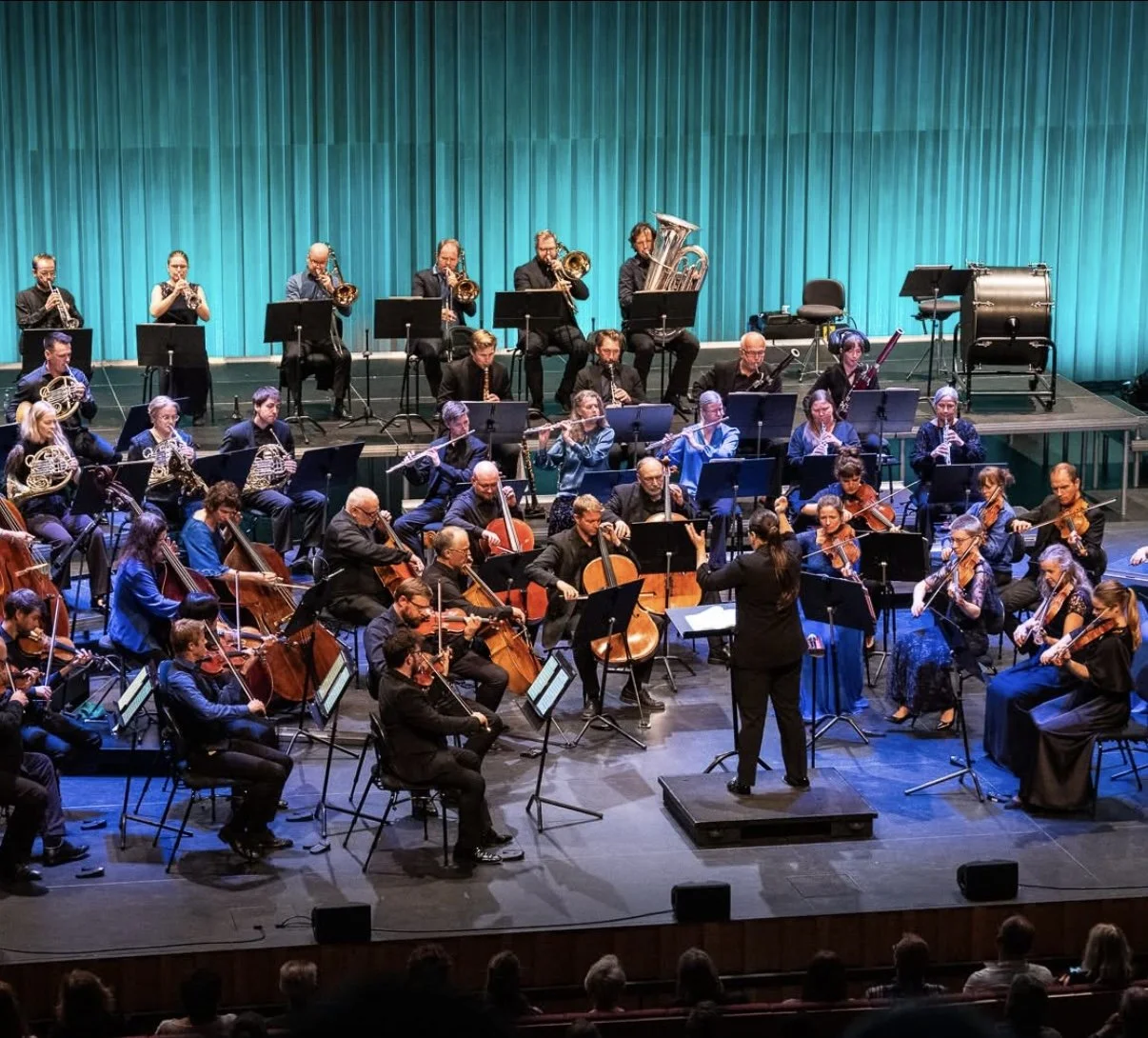 William Shaub serves as Guest Concertmaster of the Norwegian Arctic Philharmonic (Stormen Concert Hall) in 2025