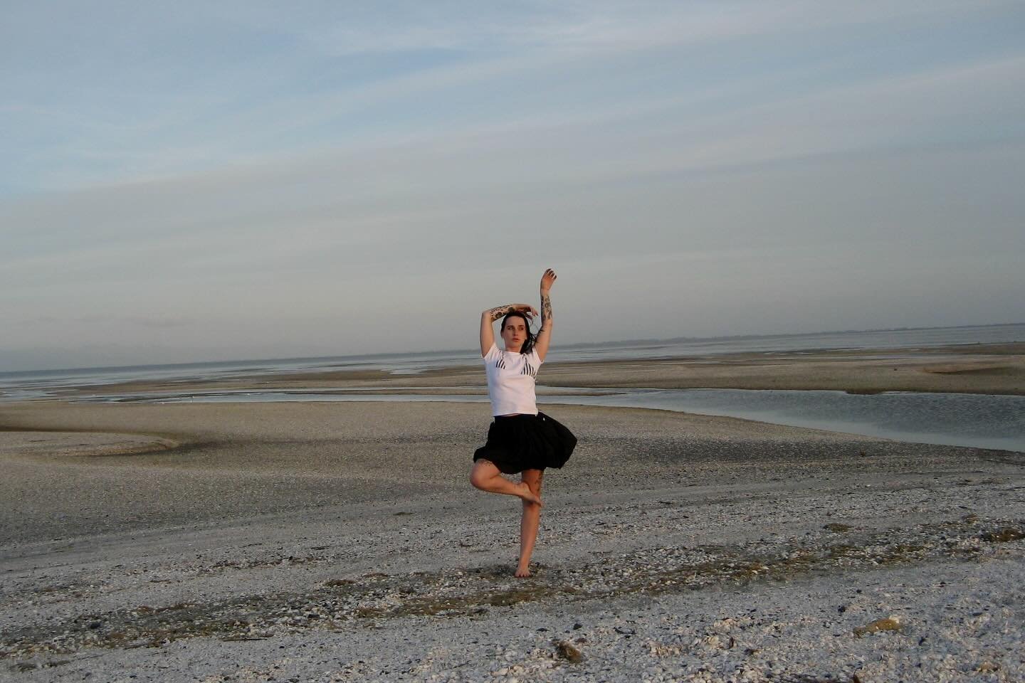 Icon @drowsyarionnee in the off-cut tee &deg;‧ 𓆝 𓆟 𓆞 &middot;｡