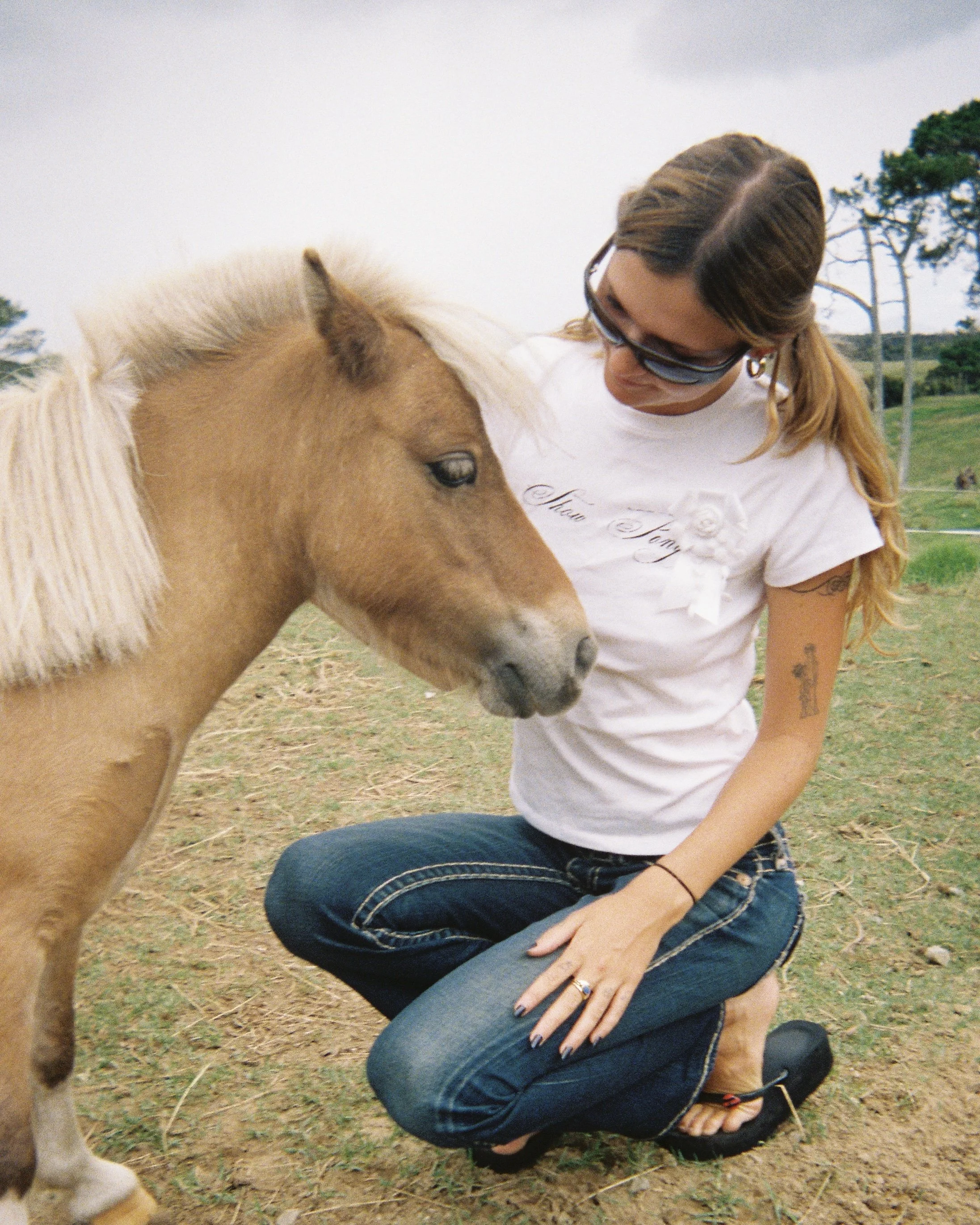 Show Pony Tee - Rosette