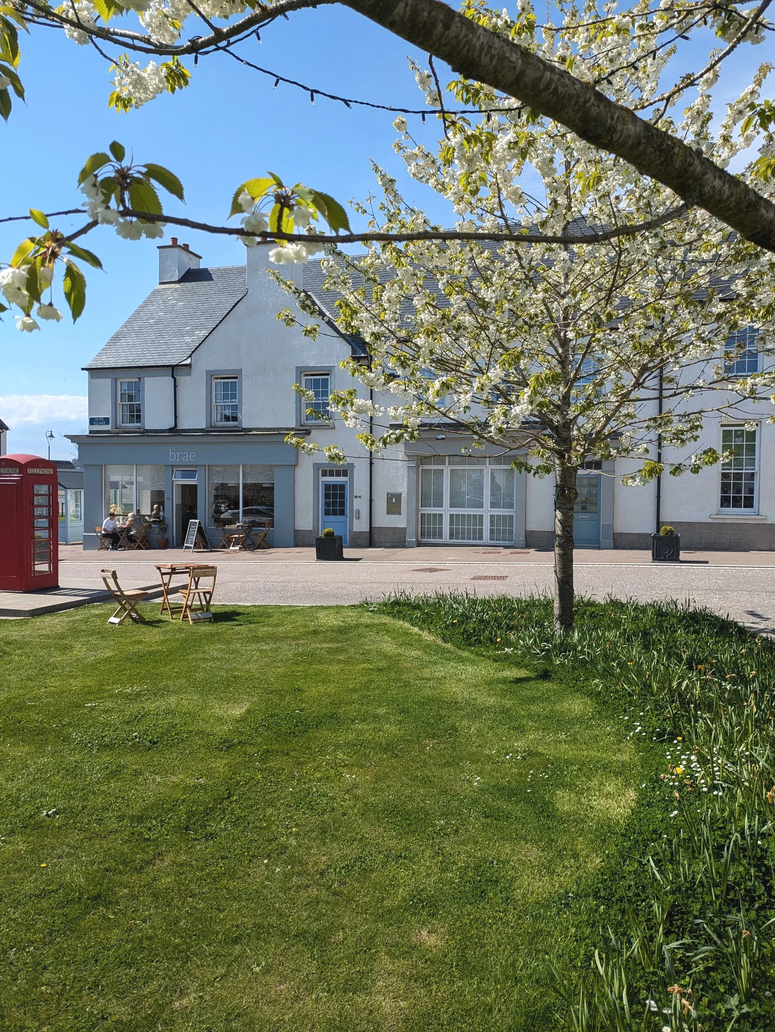 A small park with a tree in bloom, green grass, outdoor seating, and a white building with large windows and a store front under a clear blue sky.