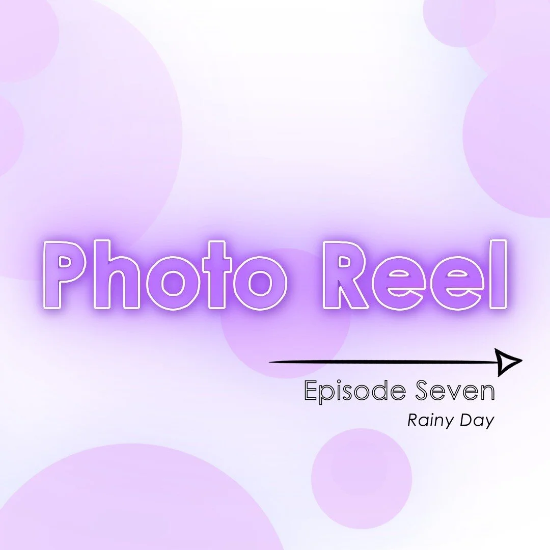 Watch my seventh photo reel on my page! ✨ and I have included some of my favourites! 🥰

#somkandolamedia #canonphotographers #flowers #flowerslovers #flowersinstagram #flowerpassion #flowers_lovers #naturelovers #nature #naturephotography #flower #m