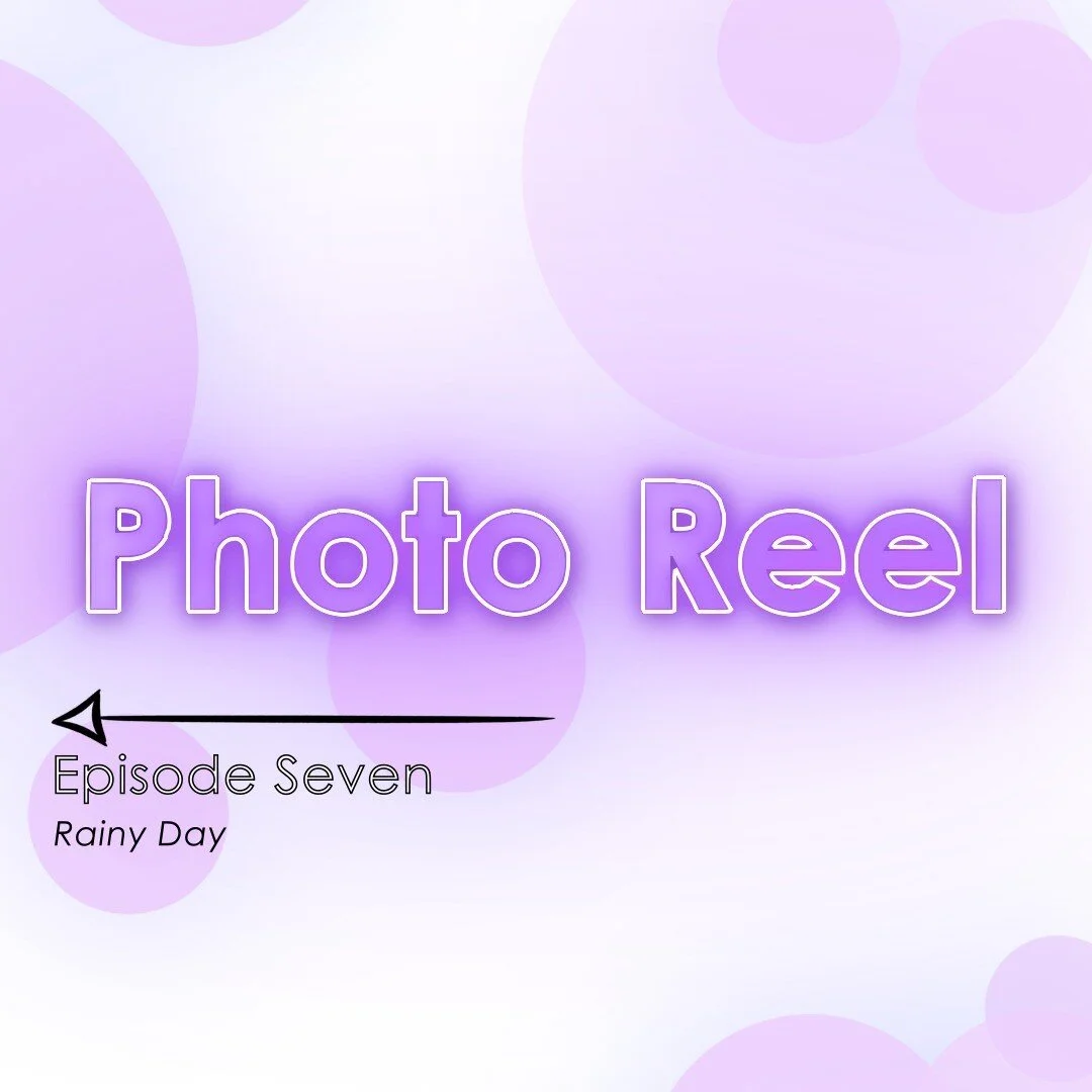 Watch my seventh photo reel on my page! ✨ and I have included some of my favourites! 🥰

#somkandolamedia #canonphotographers #flowers #flowerslovers #flowersinstagram #flowerpassion #flowers_lovers #naturelovers #nature #naturephotography #flower #m