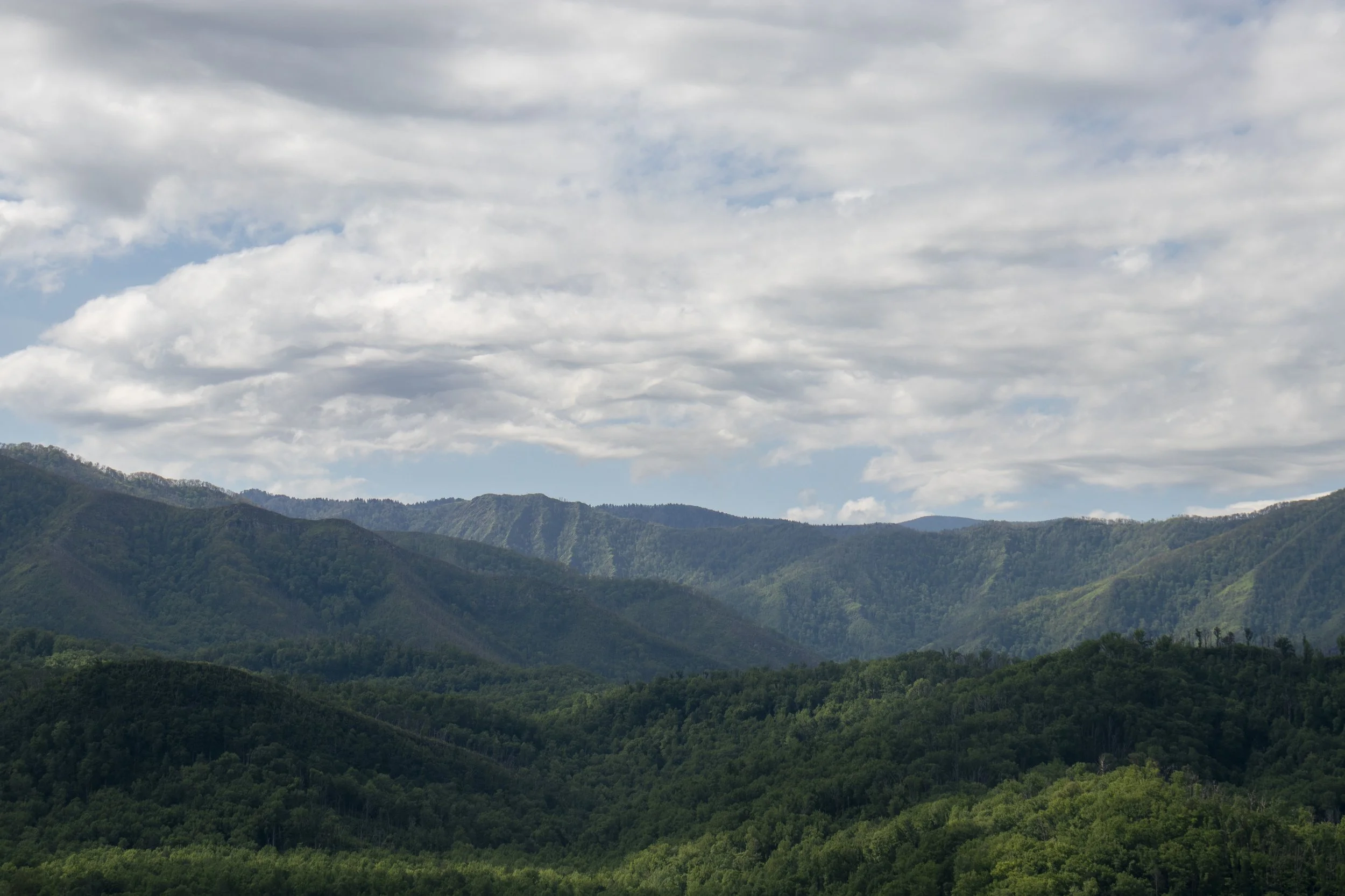 Smoky Mountains