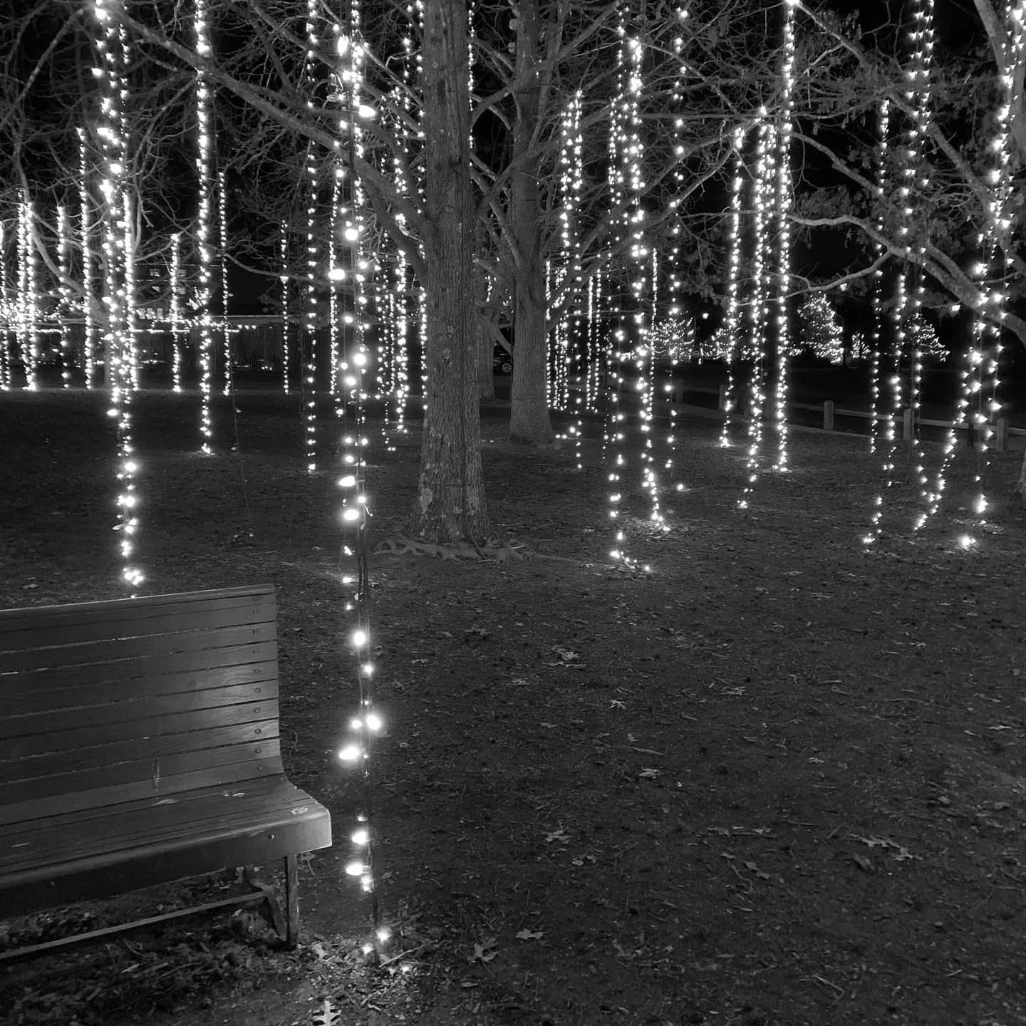 christmas-outdoor-light-ideas-6.jpg