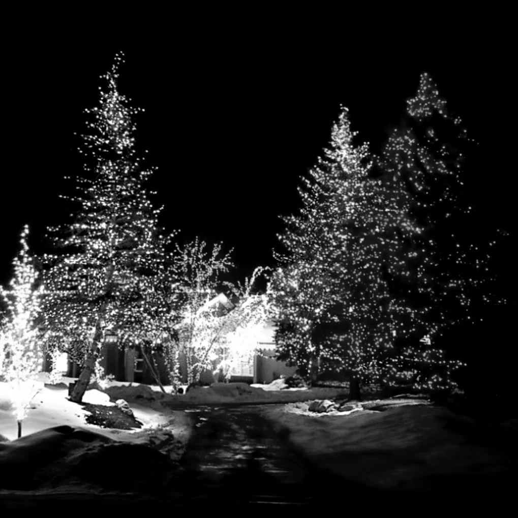 decorated-trees-1024x1019.jpg