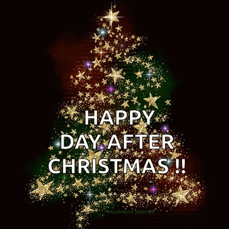 Between Christmas and the New Year: A Quiet Moment to Notice Your Home